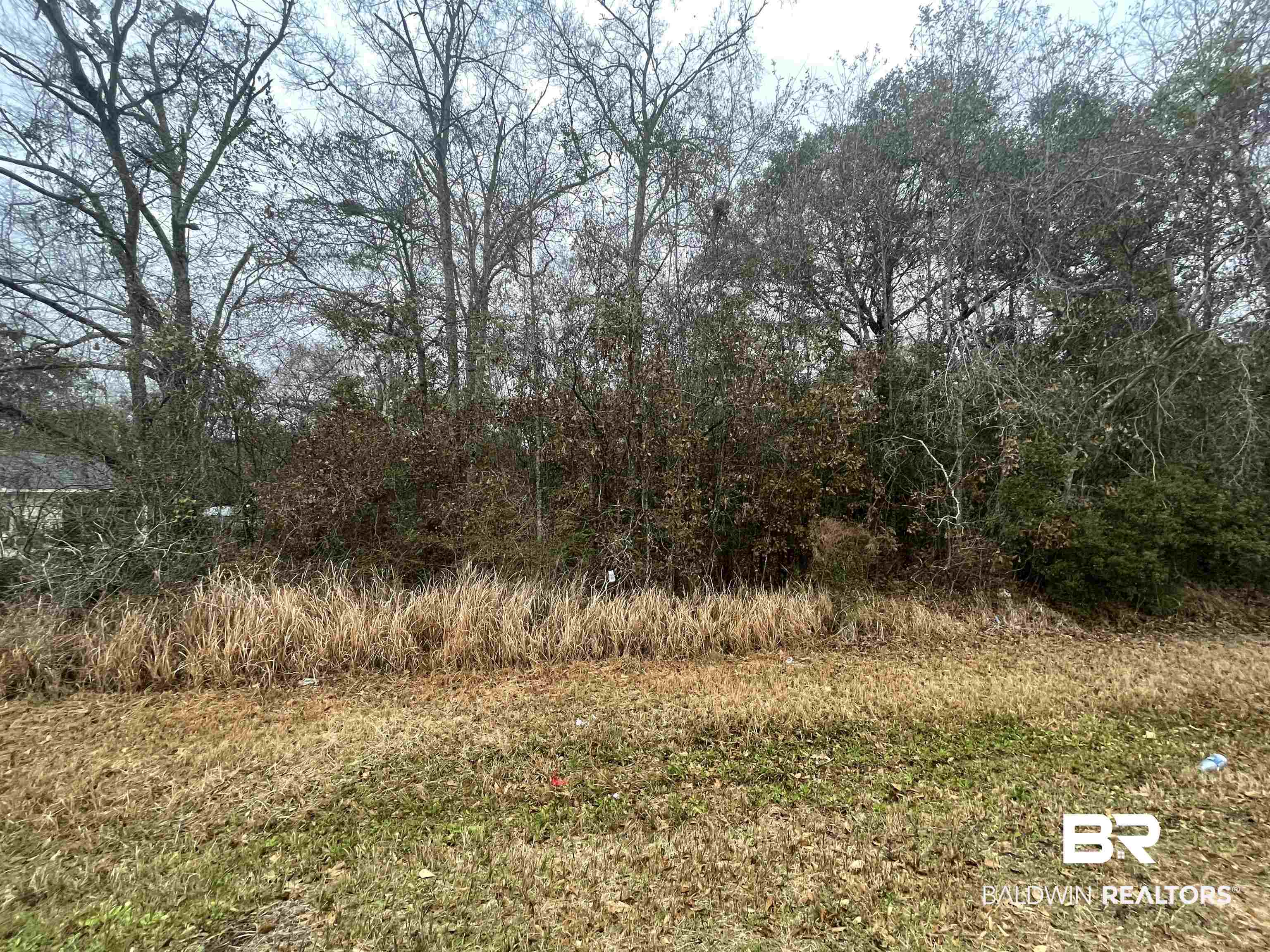 0 Elmo Avenue Theodore, AL 36582 - Photo 4 of 4