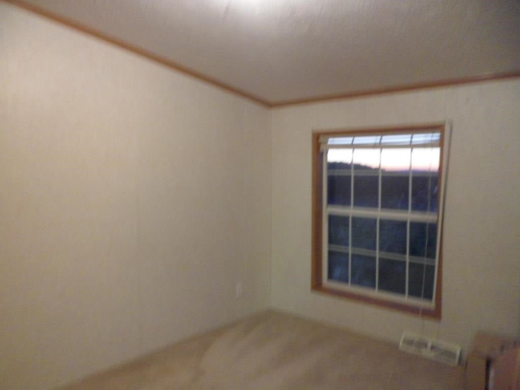 3993 Cuzzart Road Bruceton Mills, WV 26525 - Photo 5 of 12 Gallery Image 5