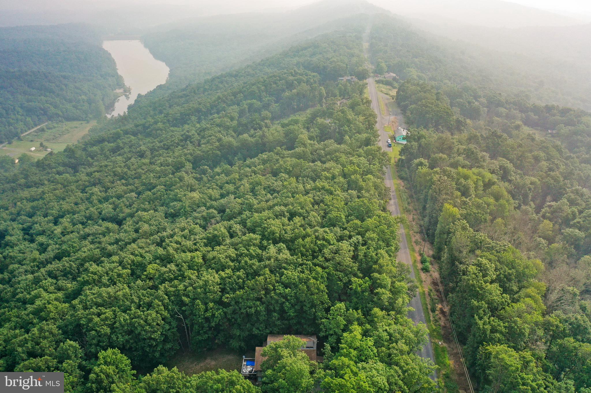 Lot 21 Supinlick Ridge Road Mount Jackson, VA 22842 - Photo 8 of 21