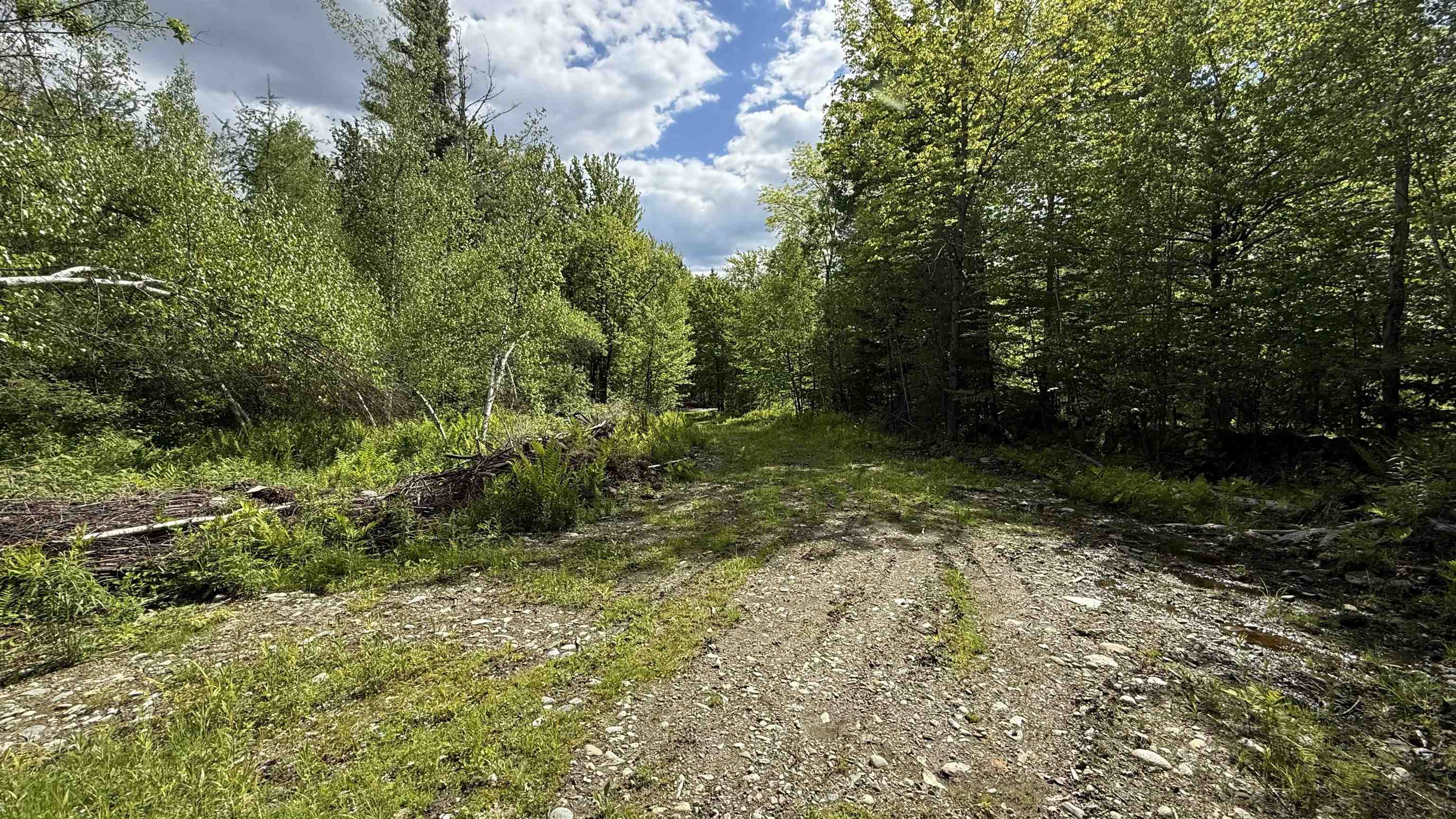 716 Cemetery Road Johnson, VT 05656 - Photo 5 of 16