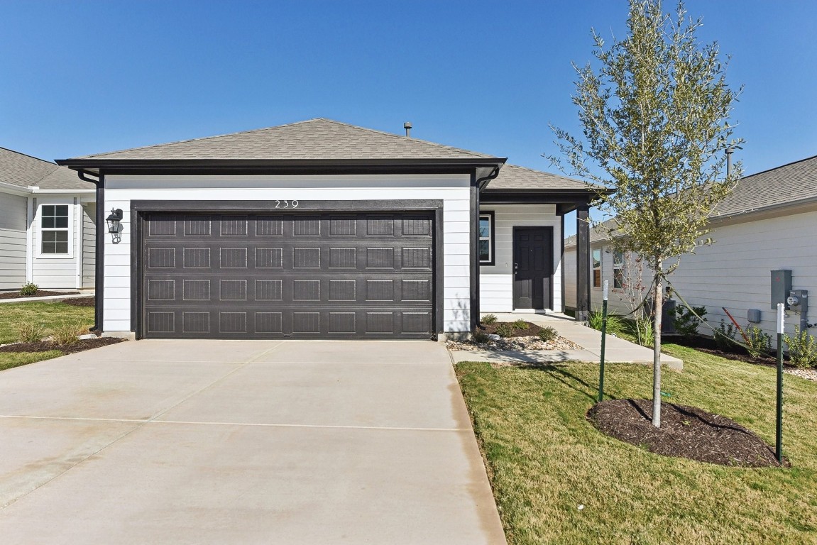 239 Spirit Street Elgin, TX 78621 - Photo 1 of 1 Ranch-style house featuring a garage, concrete driveway, a front yard, and roof with shingles