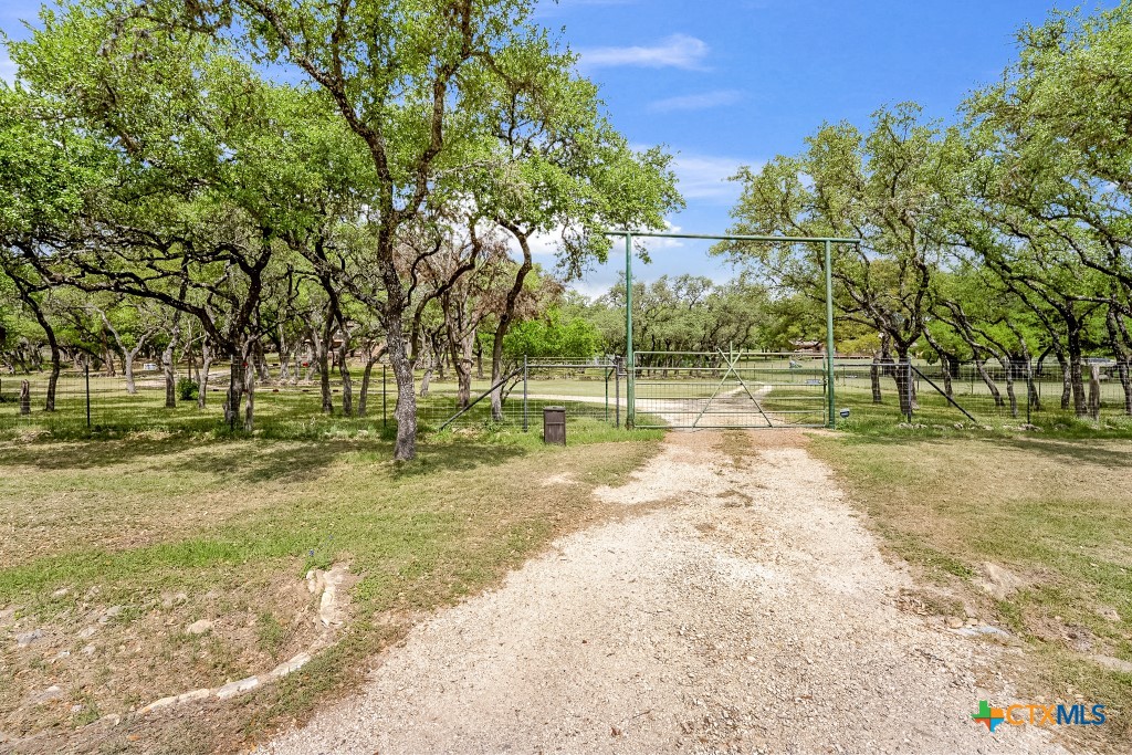 805 Sunrise Trail Spring Branch, TX 78070 - Photo 21 of 25 a view of yard with tree