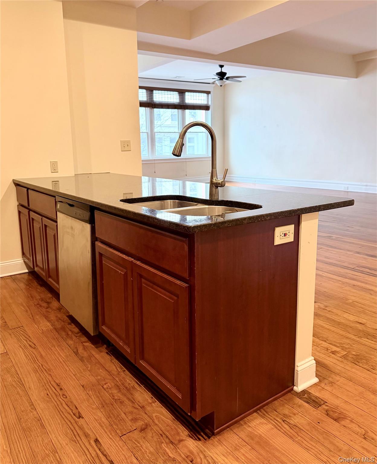 337 Main Street, Unit 2F Poughkeepsie, NY 12601 - Photo 25 of 25 a close view of a sink and dishwasher with wooden floor
