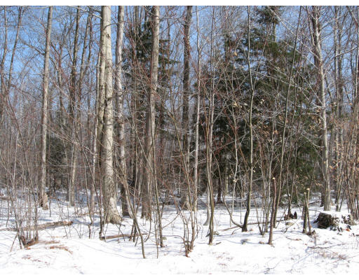 0 Sadoga Road Heath, MA 01346 - Photo 1 of 1