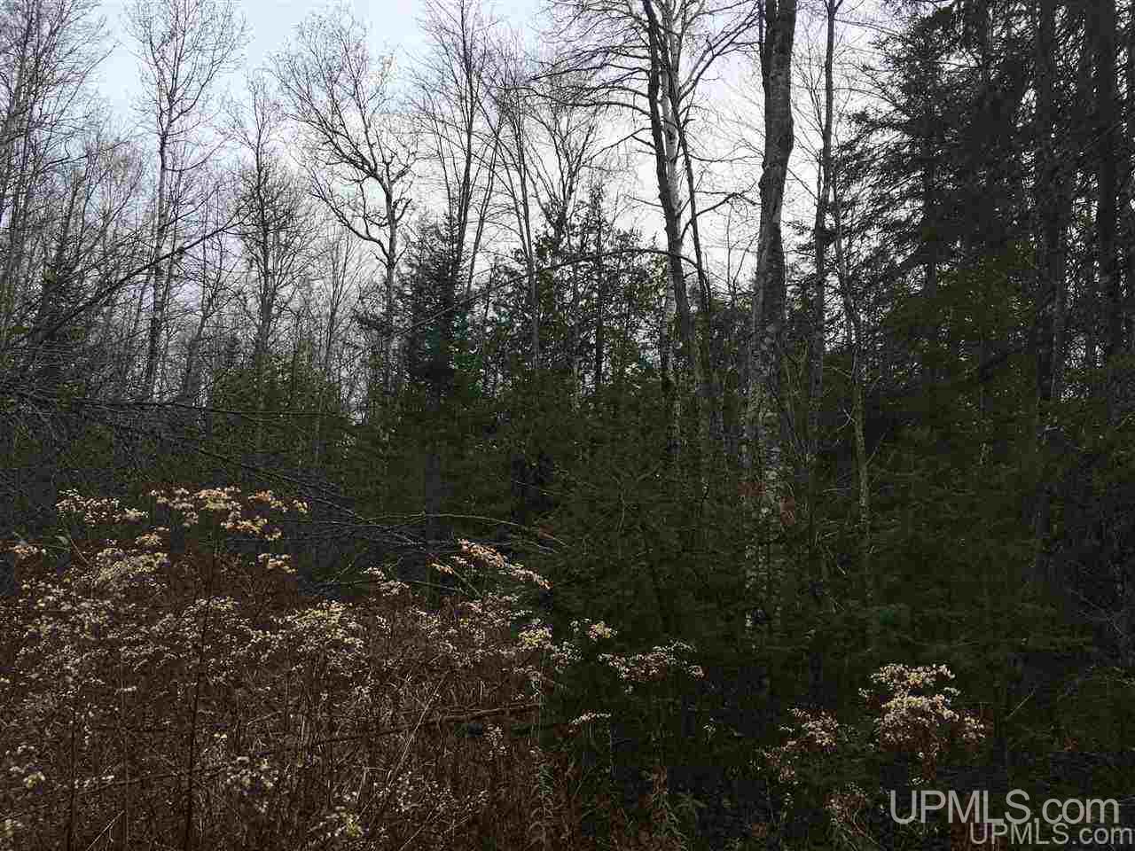 40-acres Off Cadeau Road Baraga, MI 49908 - Photo 4 of 19