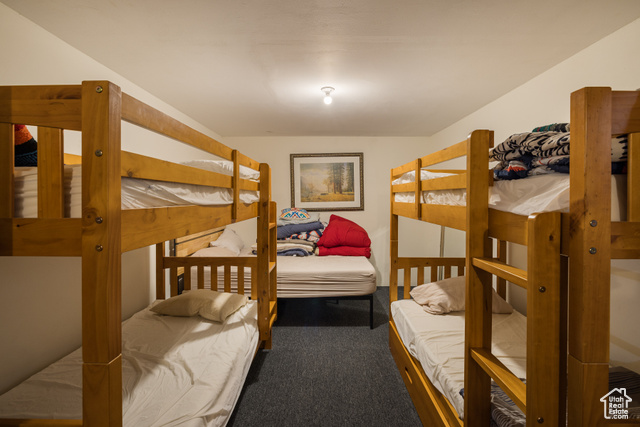 1095 South Montezuma Canyon Road Monticello, UT 84535 - Photo 53 of 109 Lower basement bunk room south side