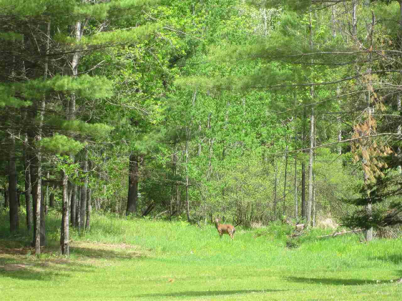 2900 Bass Lake Road Lupton, MI 48635 - Photo 22 of 86 1887746-21.JPG