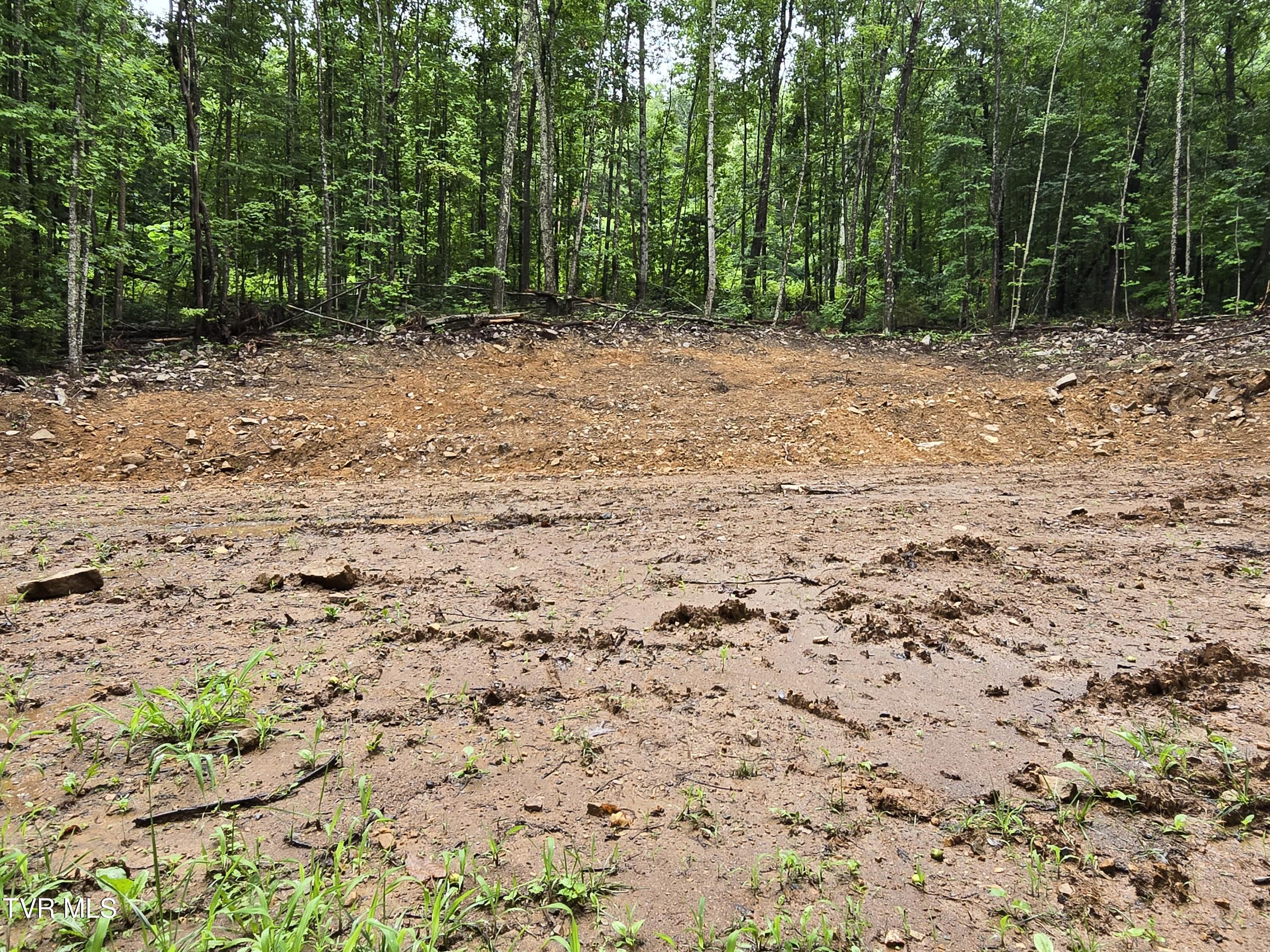 180 Bill Nave Loop, Unit 6 Elizabethton, TN 37643 - Photo 3 of 21 IMG_4256