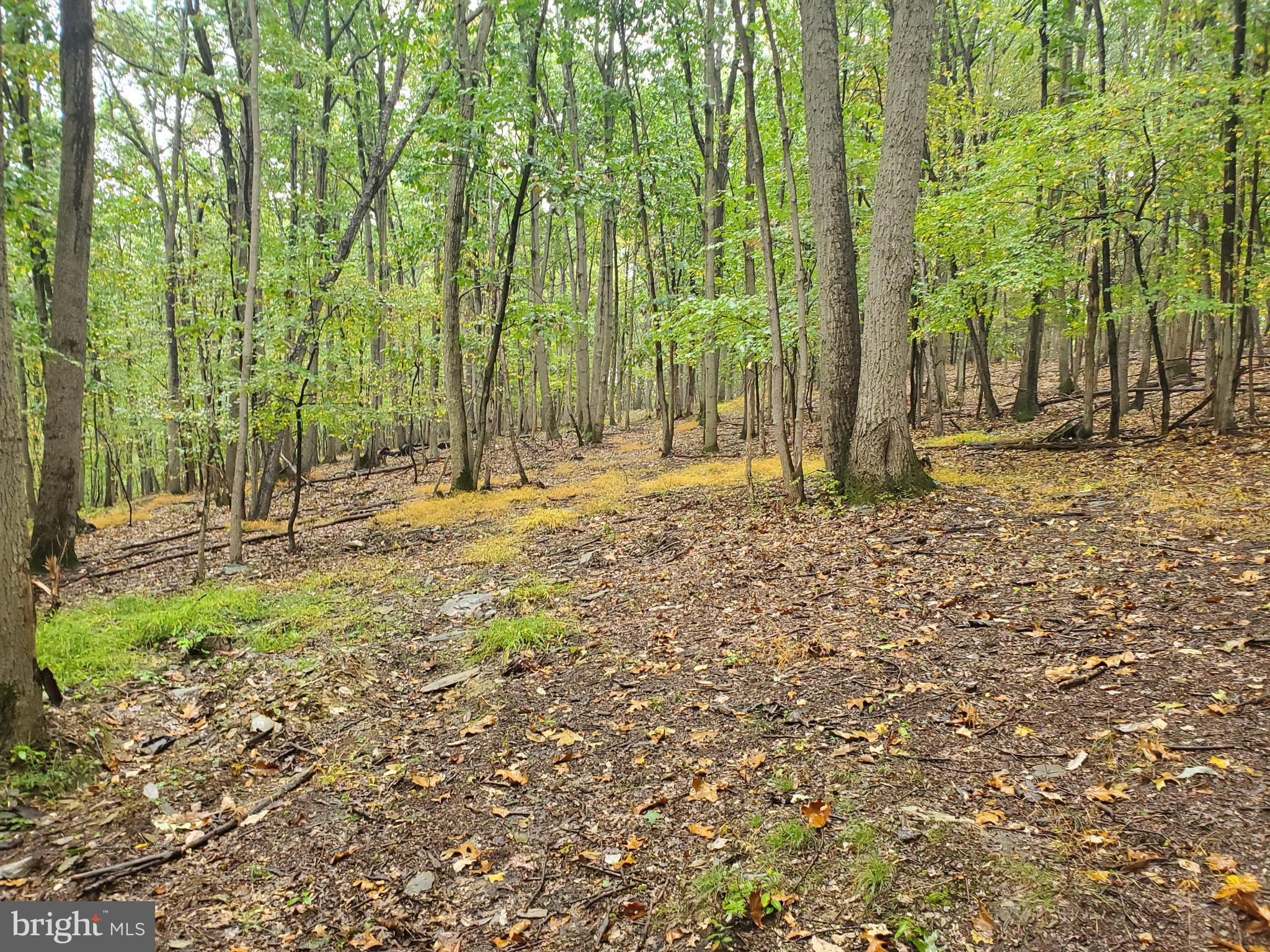 2127 Craley Road Windsor, PA 17366 - Photo 25 of 38