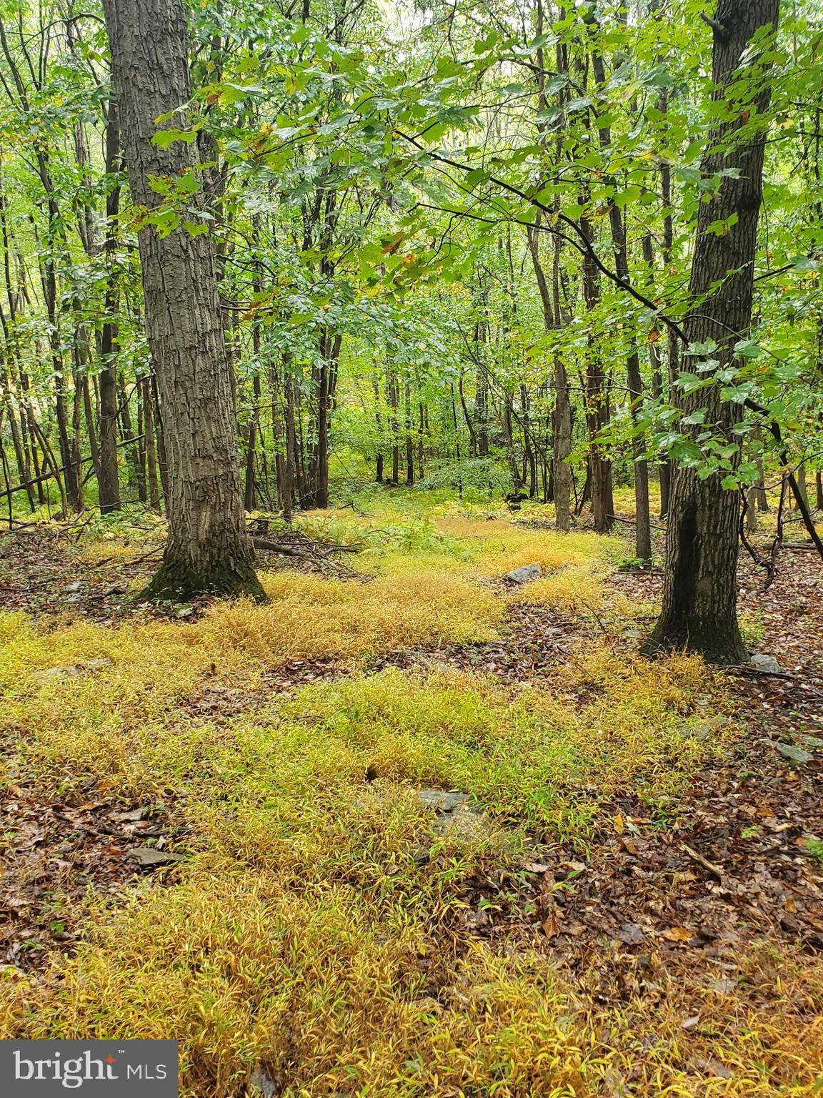 2127 Craley Road Windsor, PA 17366 - Photo 28 of 38