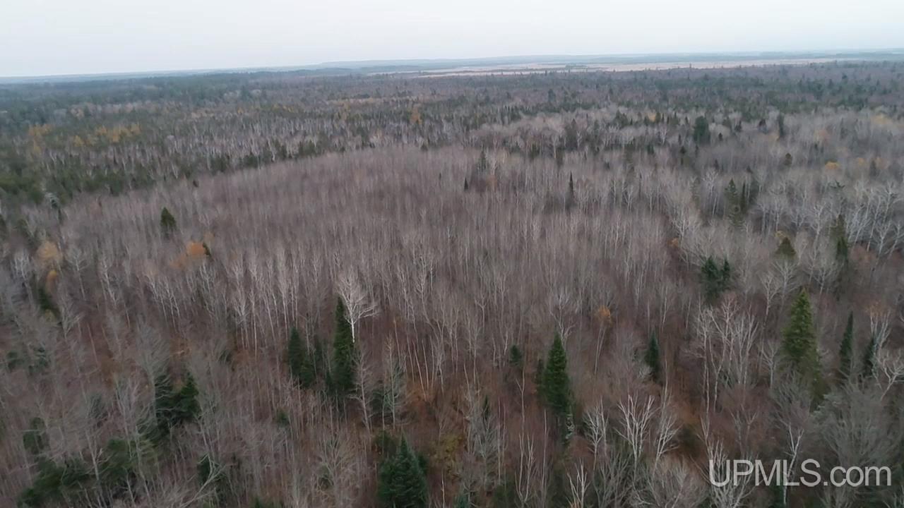 407 Rd Newberry Mi 49868 Road Newberry, MI 49868 - Photo 1 of 5