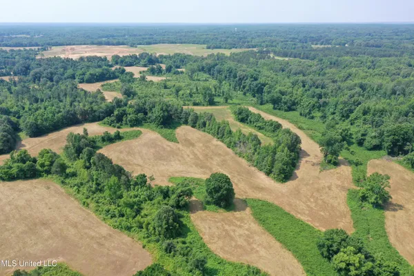 $199,000 | 0 Baldwin Road, Lake Cormorant, MS 38641