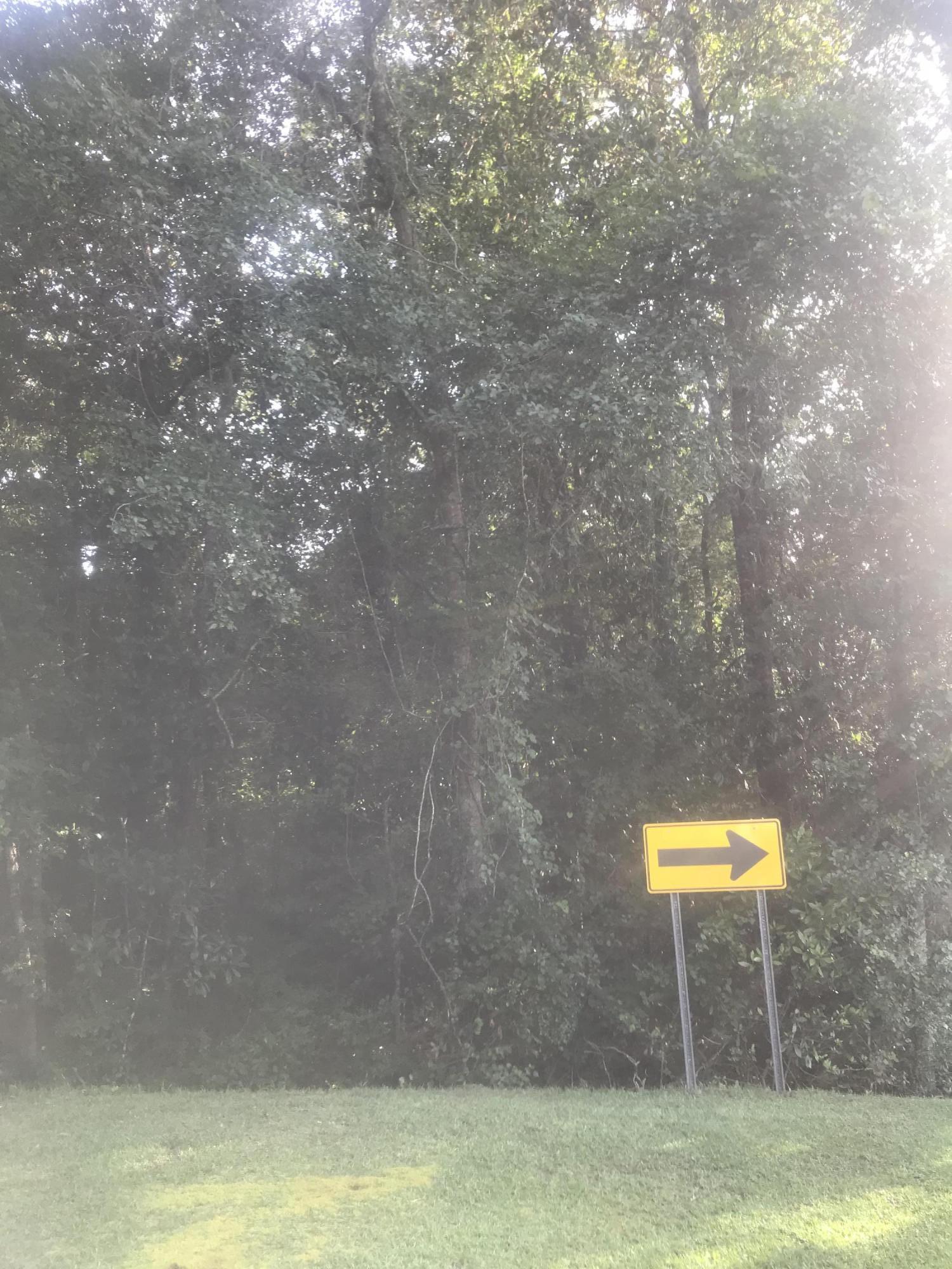0 Spring Road, Unit LOT 367 Walterboro, SC 29488 - Photo 3 of 5 IMG_0475