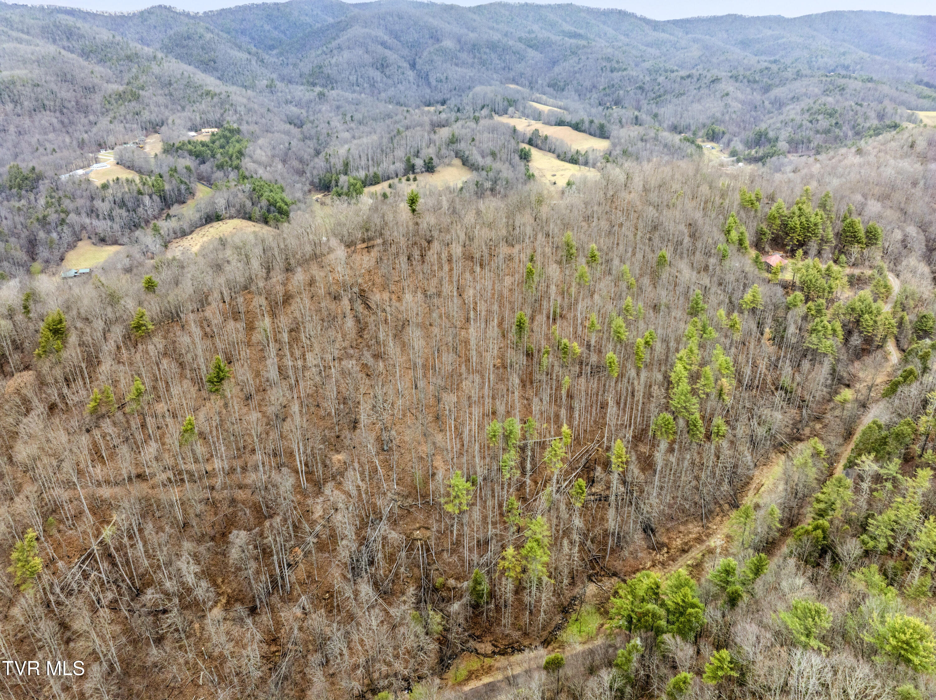 Tbd Stage Road Mountain City, TN 37683 - Photo 1 of 27 TBDStageRd-Aerials-22