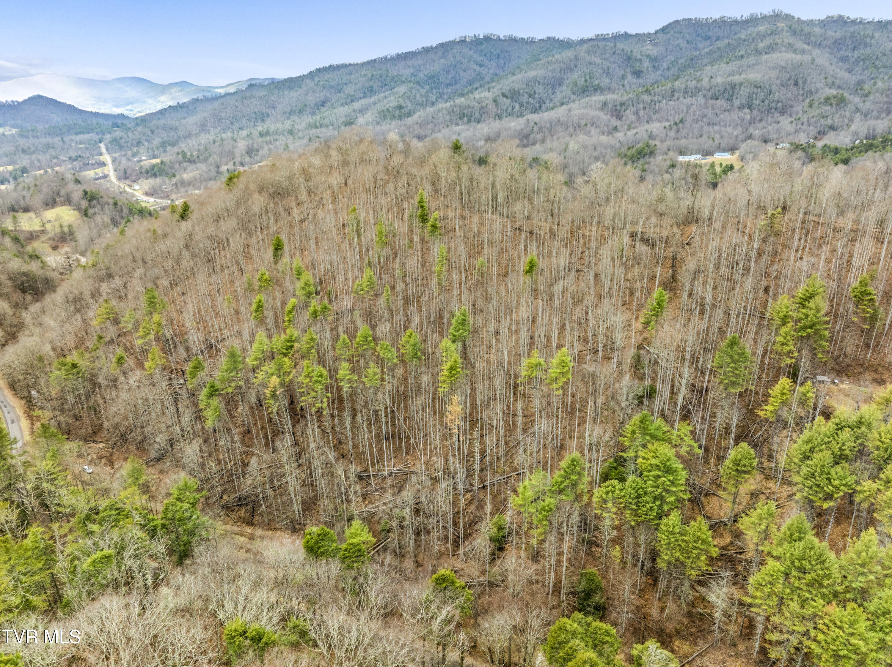 Tbd Stage Road Mountain City, TN 37683 - Photo 20 of 27 TBDStageRd-Aerials-14