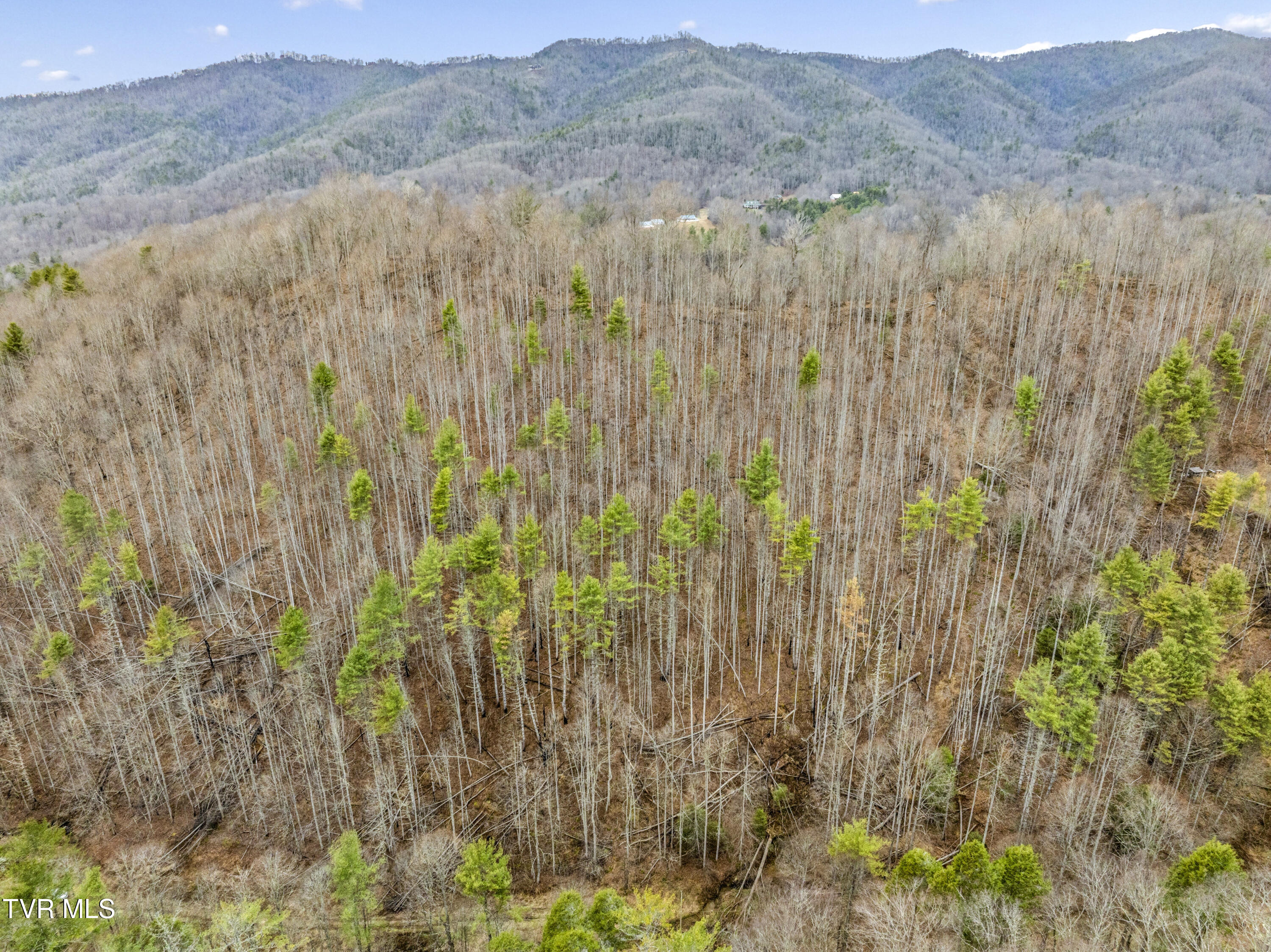 Tbd Stage Road Mountain City, TN 37683 - Photo 21 of 27 TBDStageRd-Aerials-15