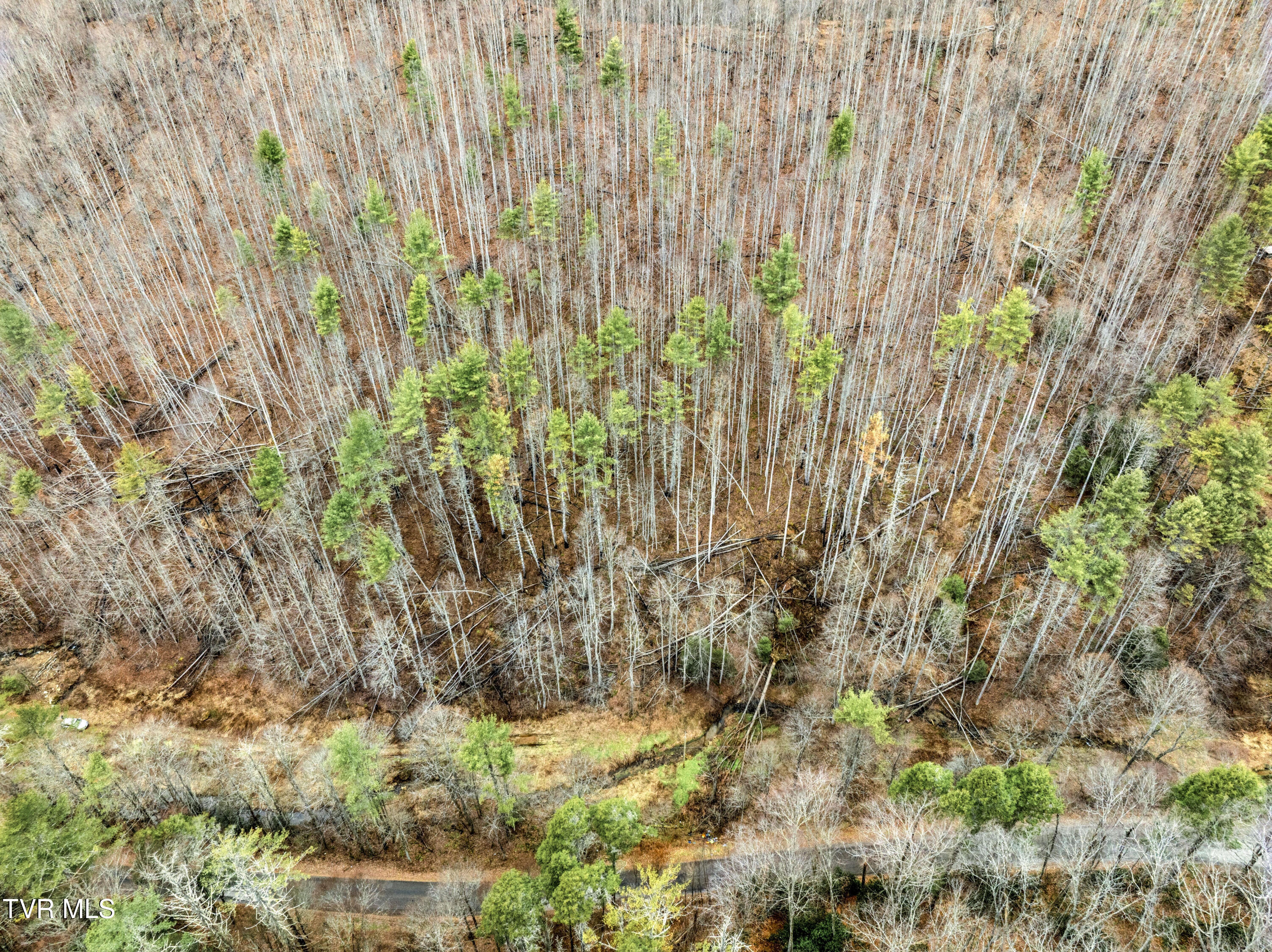 Tbd Stage Road Mountain City, TN 37683 - Photo 22 of 27 TBDStageRd-Aerials-16