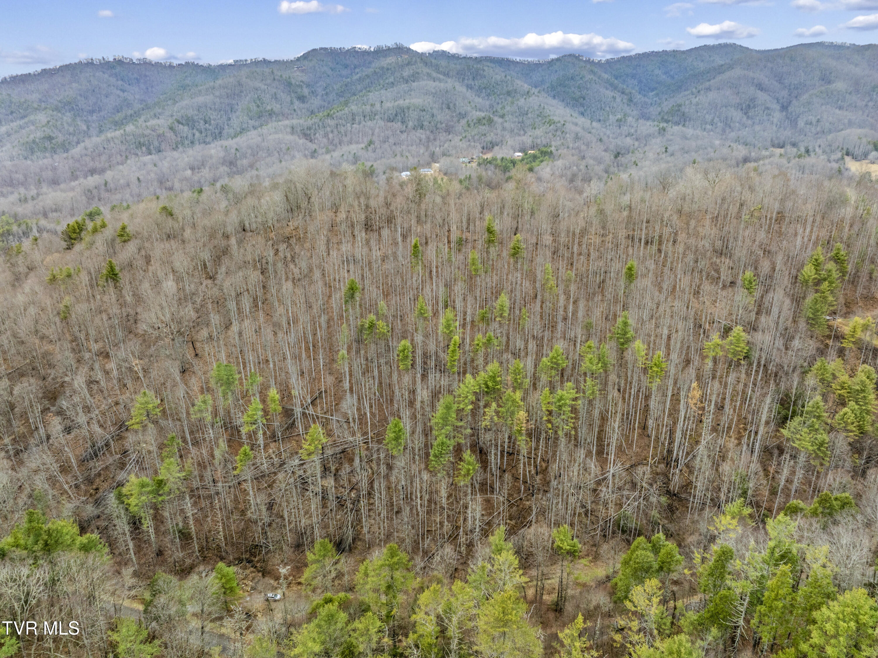 Tbd Stage Road Mountain City, TN 37683 - Photo 24 of 27 TBDStageRd-Aerials-18