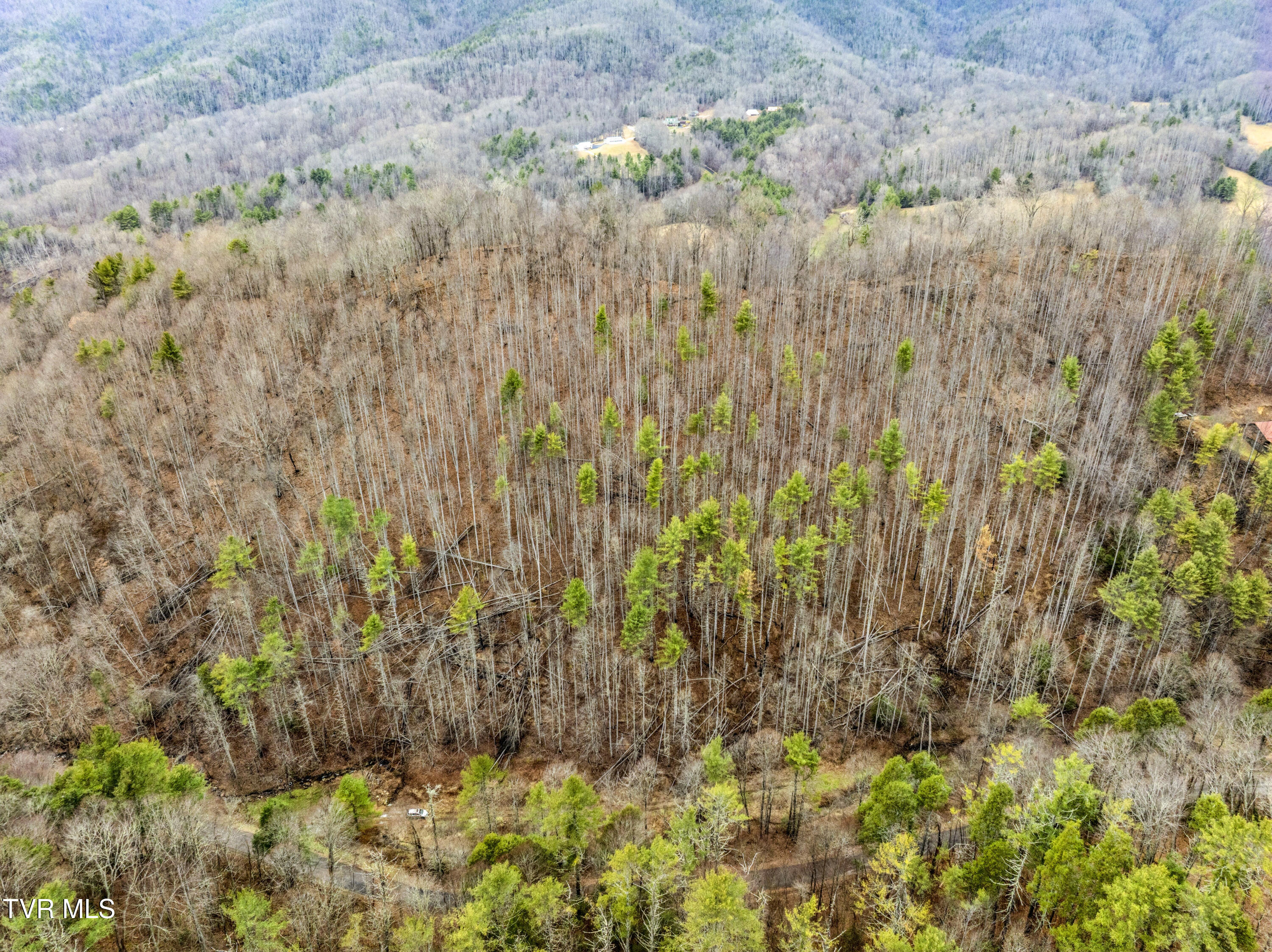 Tbd Stage Road Mountain City, TN 37683 - Photo 25 of 27 TBDStageRd-Aerials-19