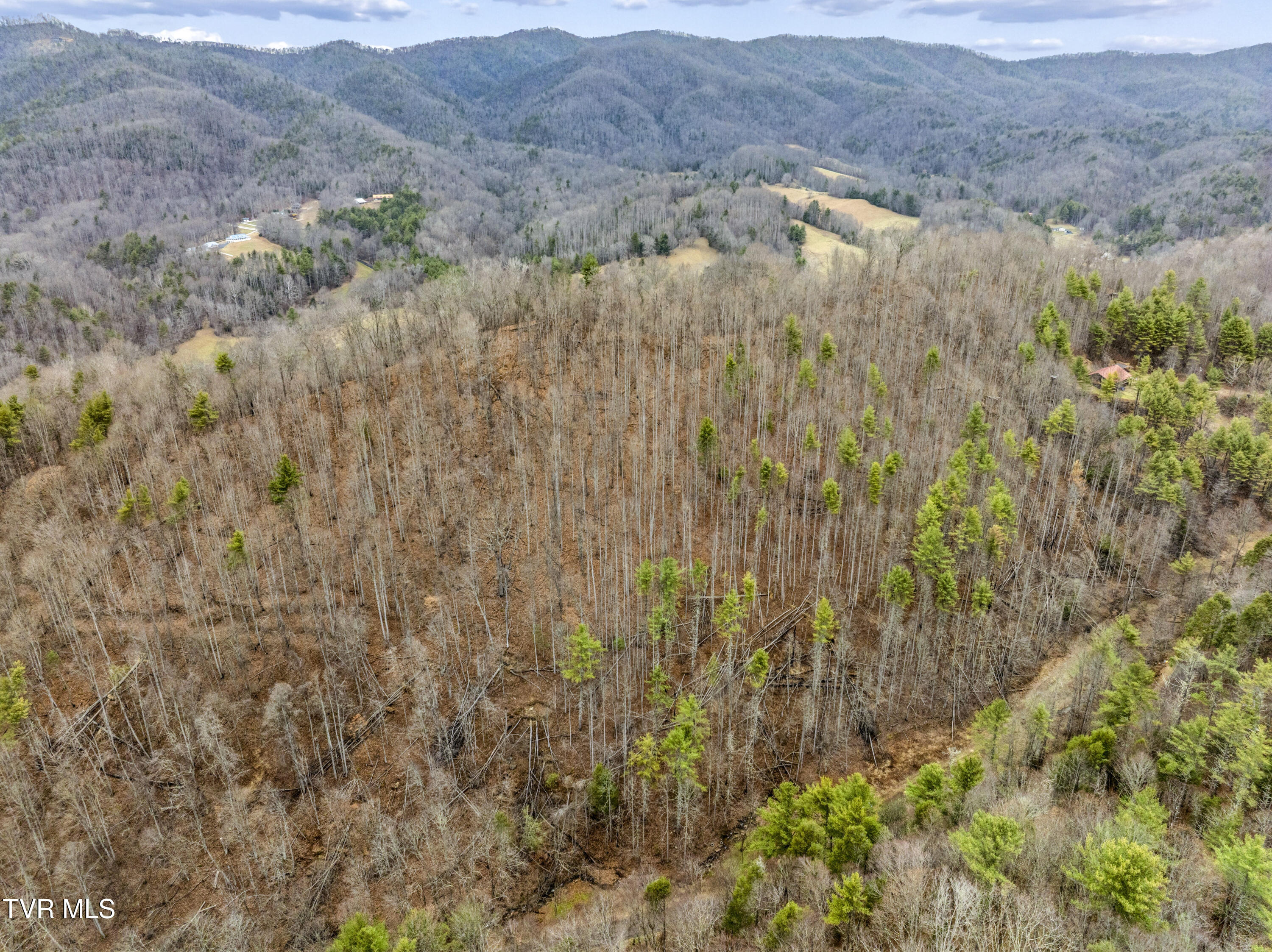 Tbd Stage Road Mountain City, TN 37683 - Photo 27 of 27 TBDStageRd-Aerials-21