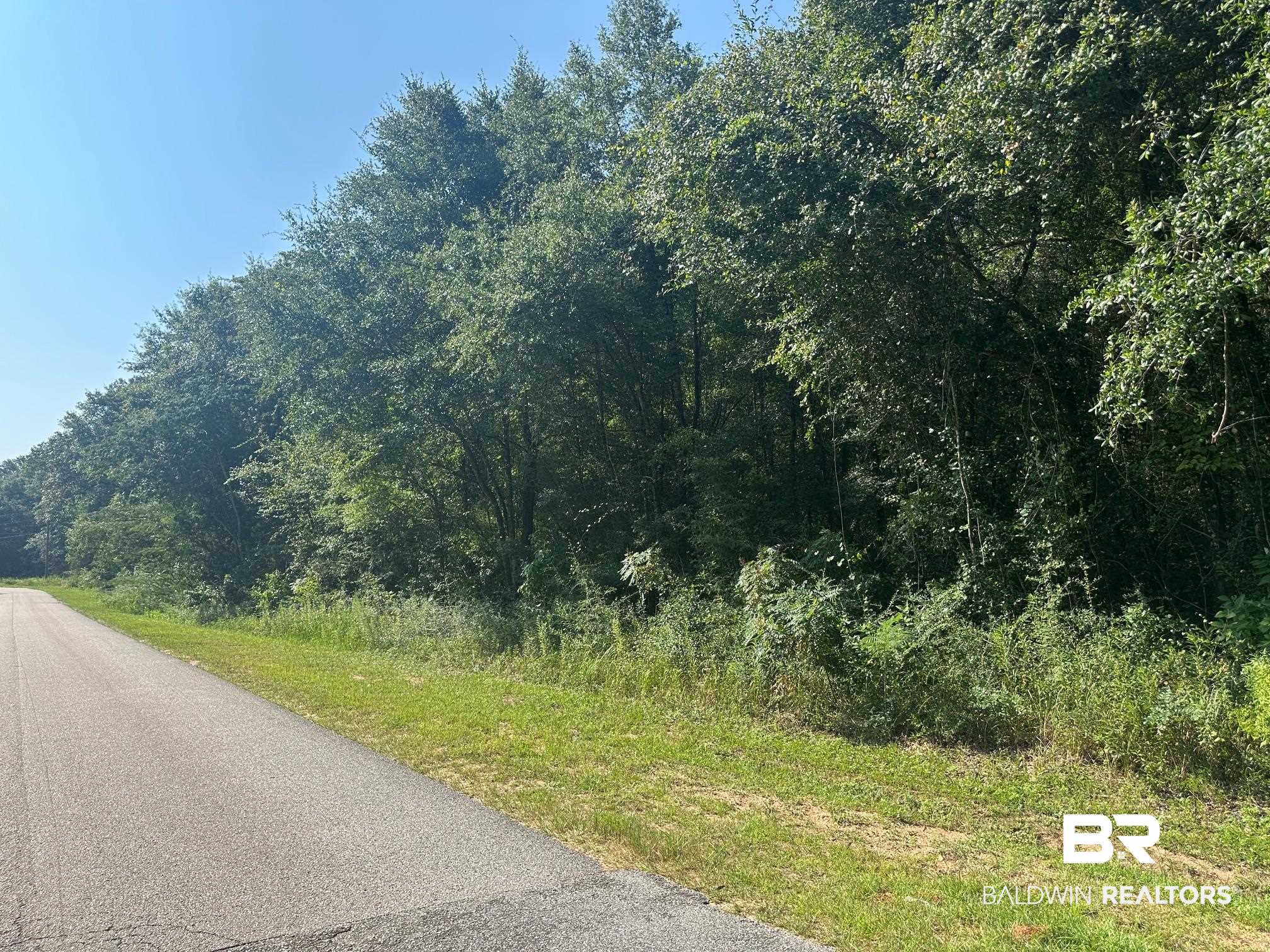 0 Danner Road East Wilmer, AL 36587 - Photo 2 of 13 View of asphalt road