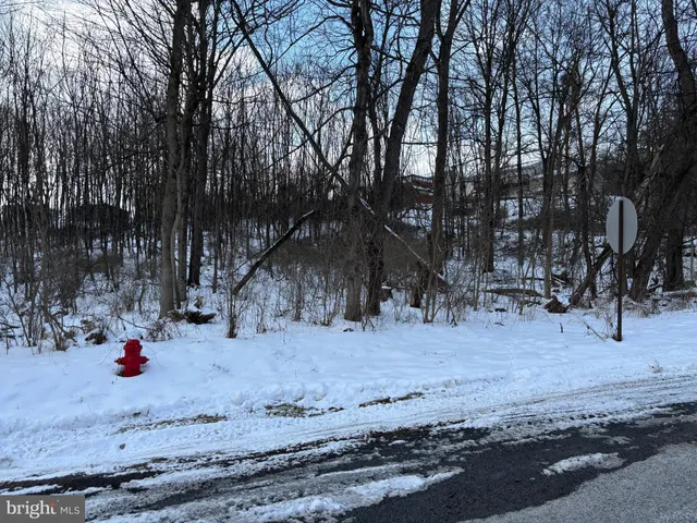 a view of dirt yard with a tree