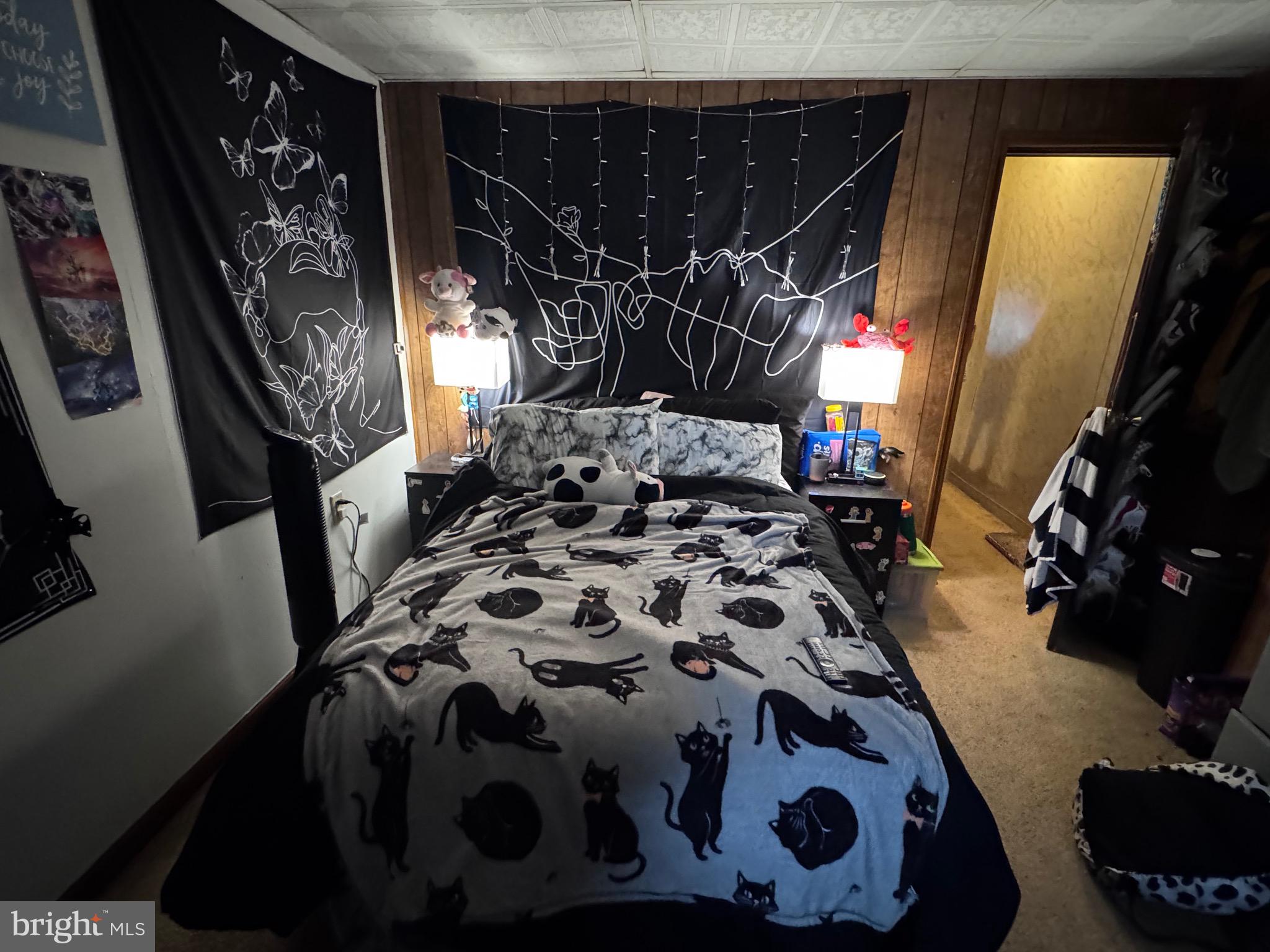 1128 North 6th Street Reading, PA 19601 - Photo 12 of 19 a view of many windows