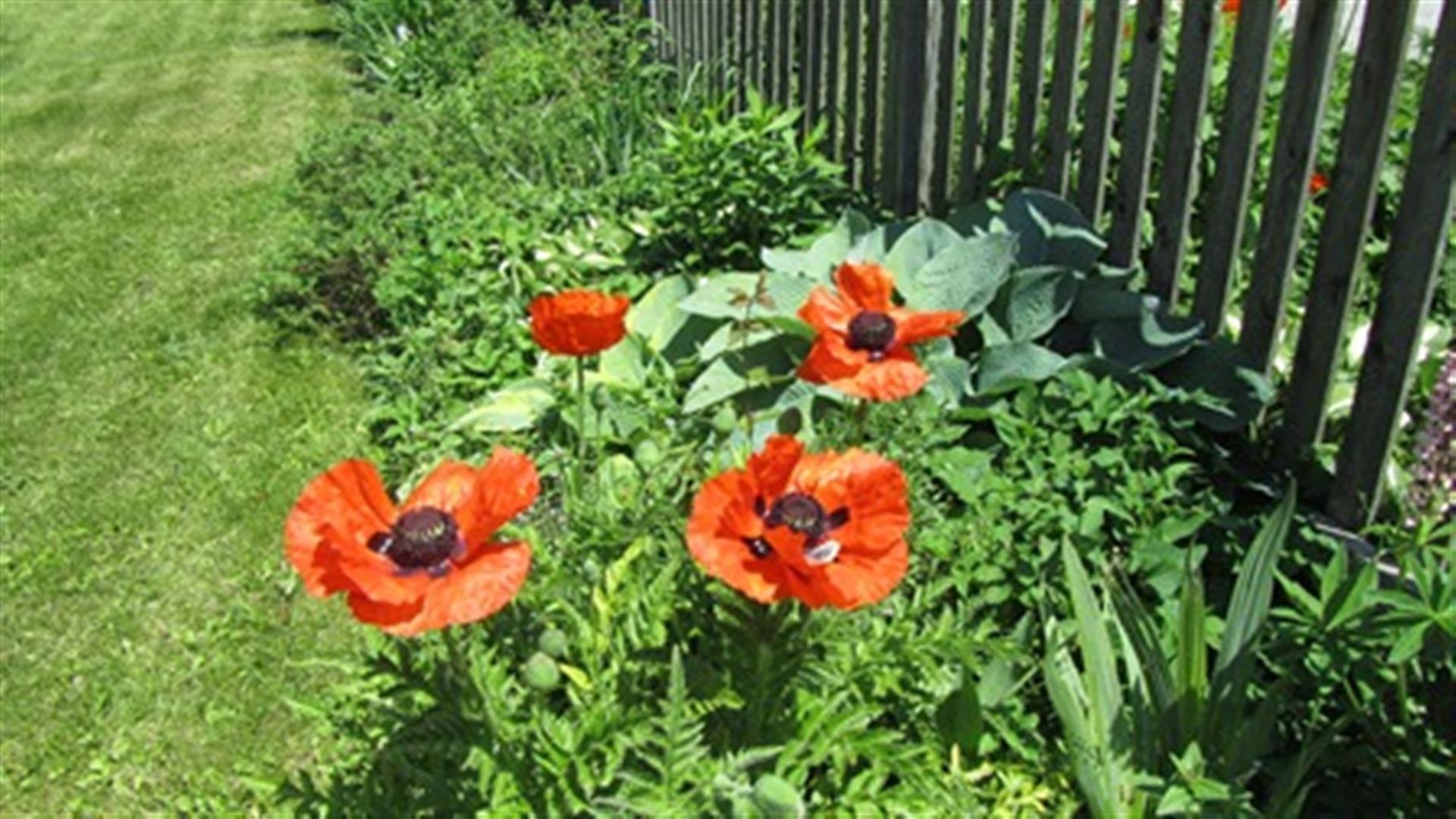 17 Phillips Street Rutland, VT 05701 - Photo 21 of 21