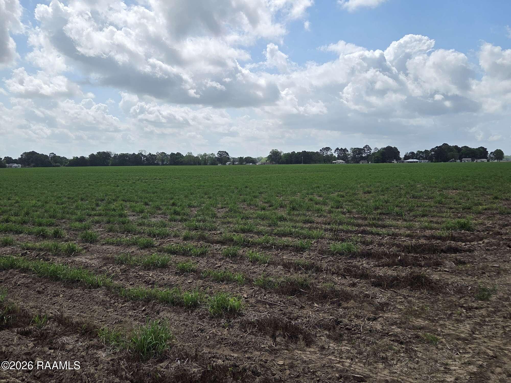 997 Sidney Charles Road Opelousas, LA 70570 - Photo 4 of 5 Compress_20260424_145756_6973