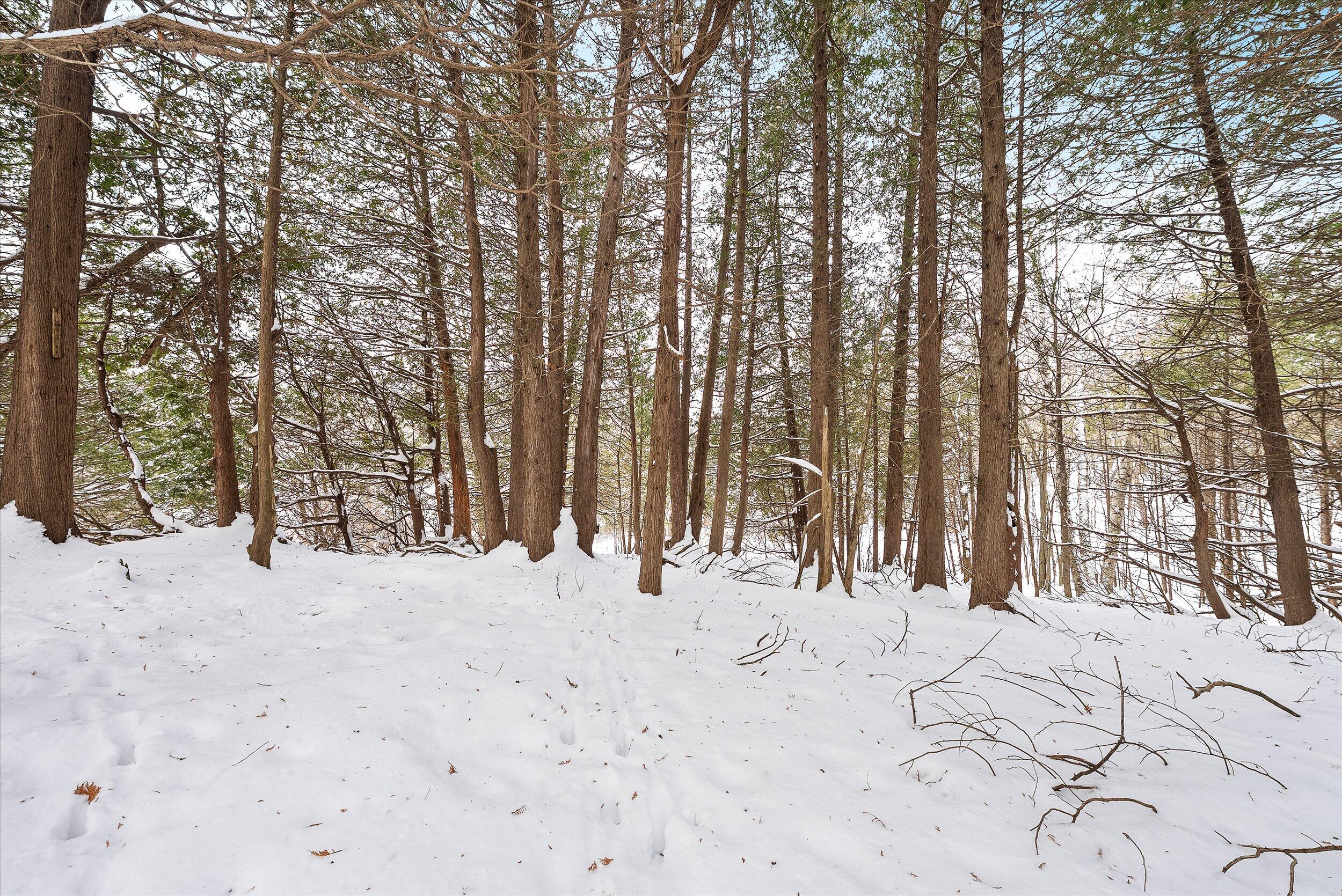 Lt3 Blue Goose Road West Bend, WI 53095 - Photo 14 of 21 19-Land