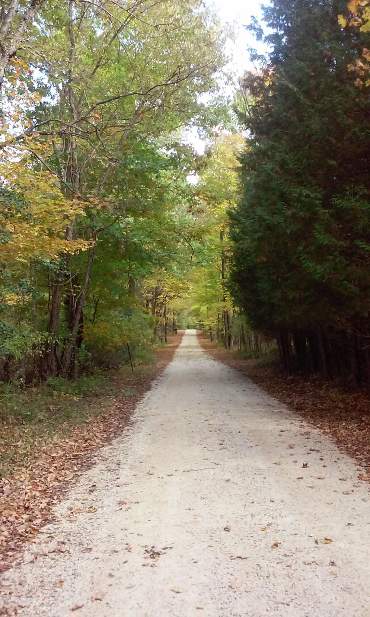 Lt3 Blue Goose Road West Bend, WI 53095 - Photo 17 of 21 984863613223396565