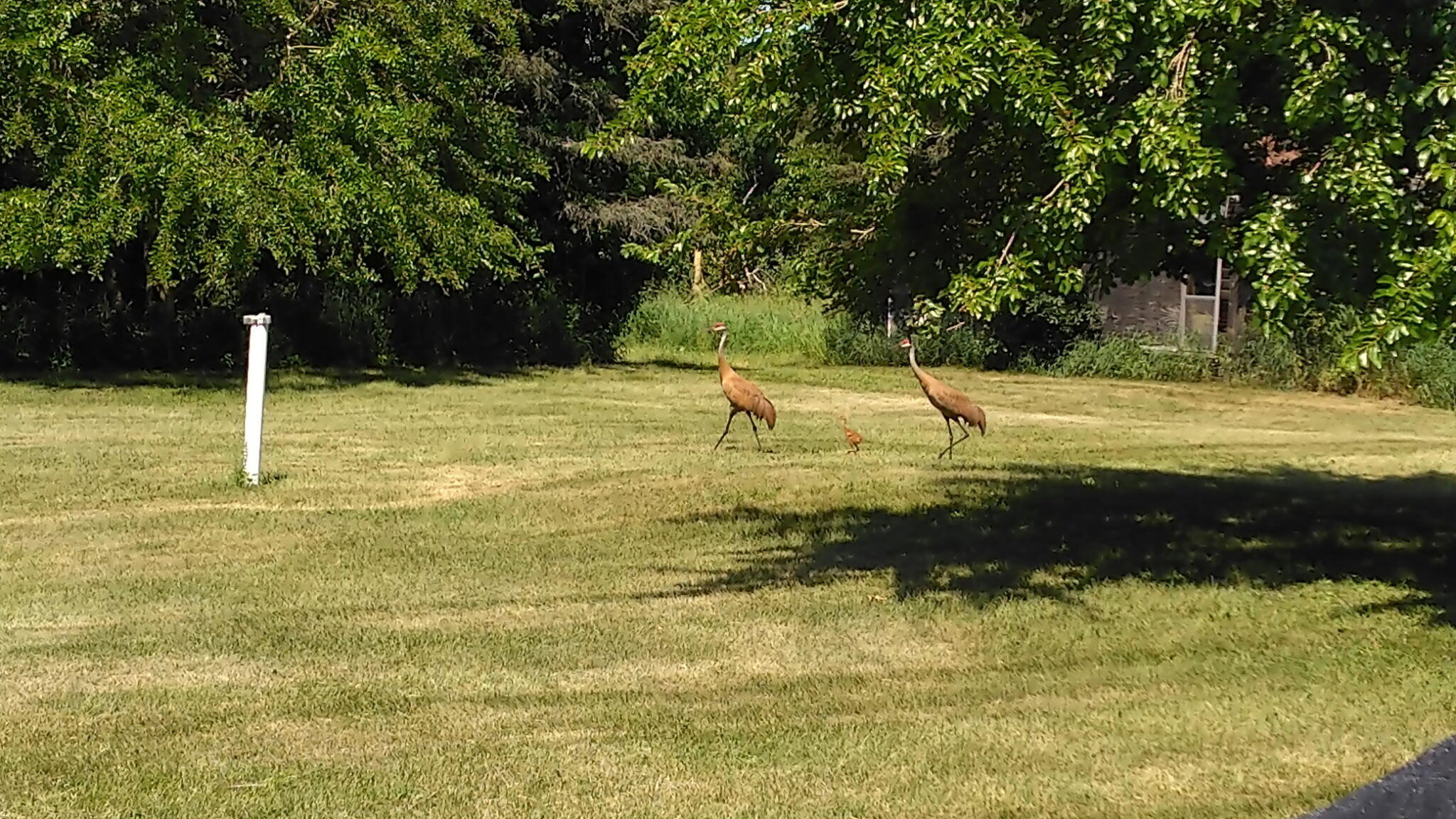 Lt3 Blue Goose Road West Bend, WI 53095 - Photo 19 of 21 5612390275884875445