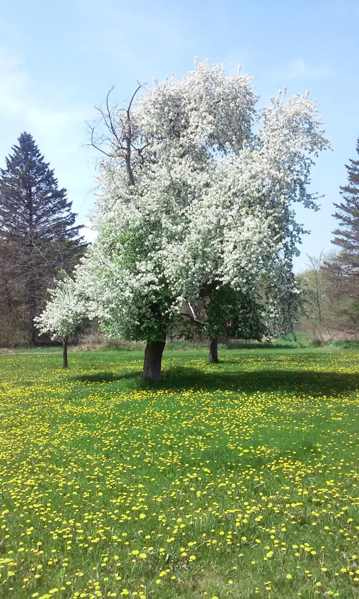 Lt3 Blue Goose Road West Bend, WI 53095 - Photo 21 of 21 5672296616893852133