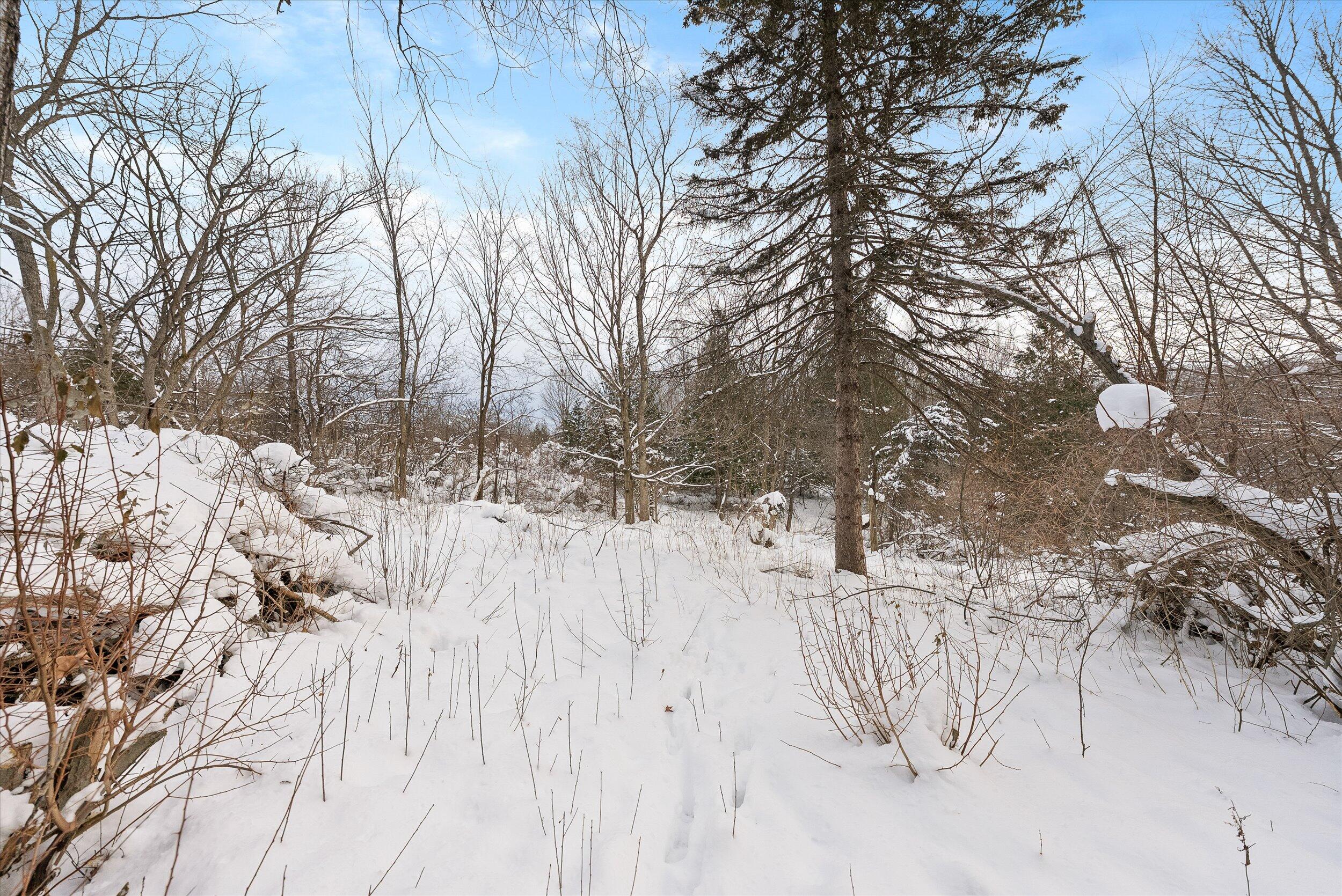 Lt3 Blue Goose Road West Bend, WI 53095 - Photo 10 of 21 15-Land