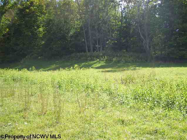 0 Pennington Road Dryfork, WV 26263 - Photo 5 of 10 Gallery Image 5