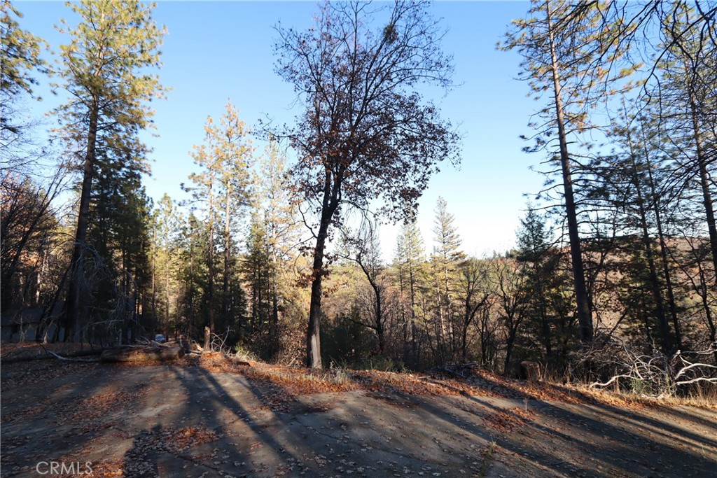 11292 Loch Lomond Road Middletown, CA 95461 - Photo 1 of 1 Gallery Image 1