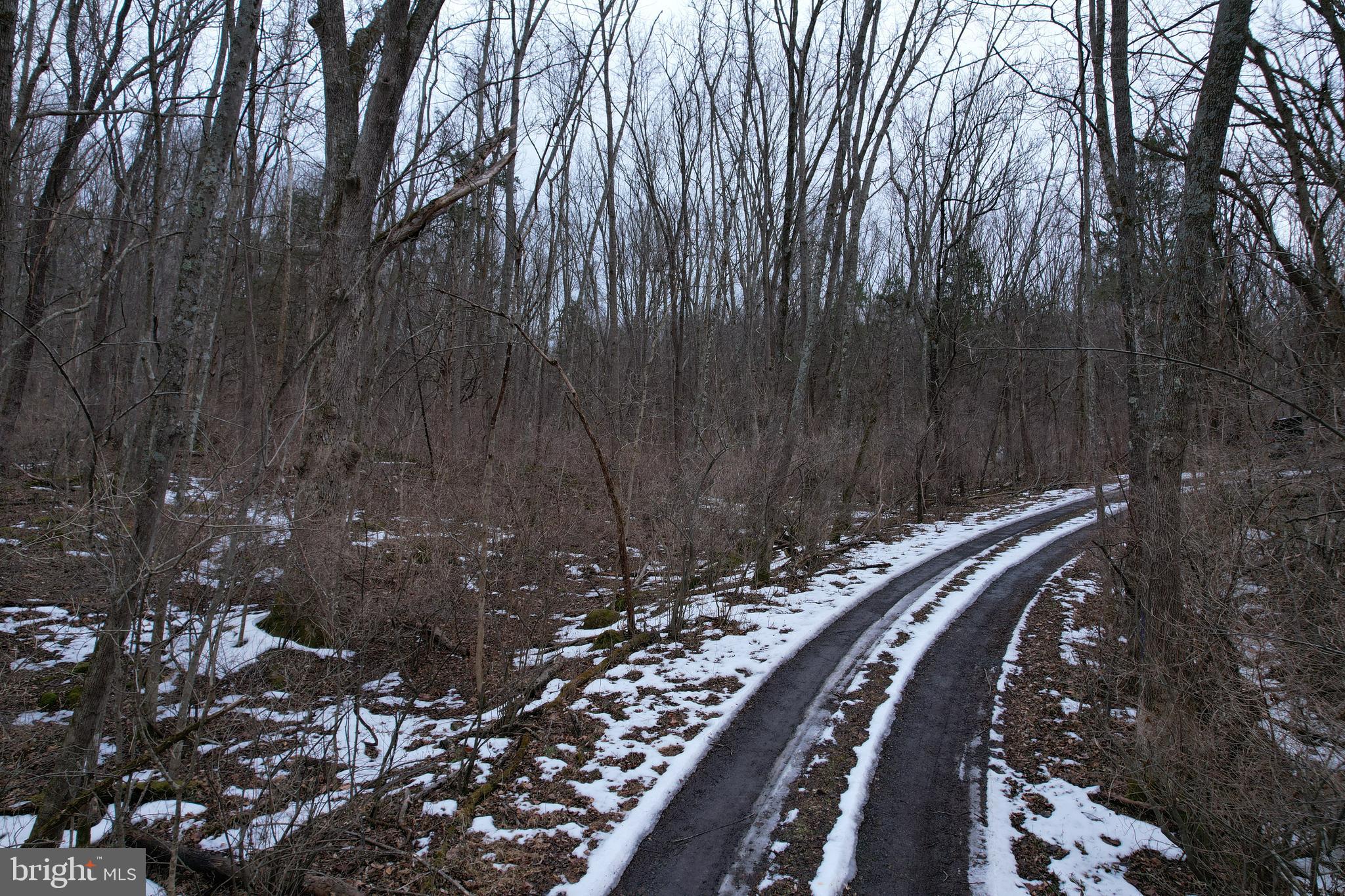 480 Beylors Ferry Road Rileyville, VA 22650 - Photo 12 of 21