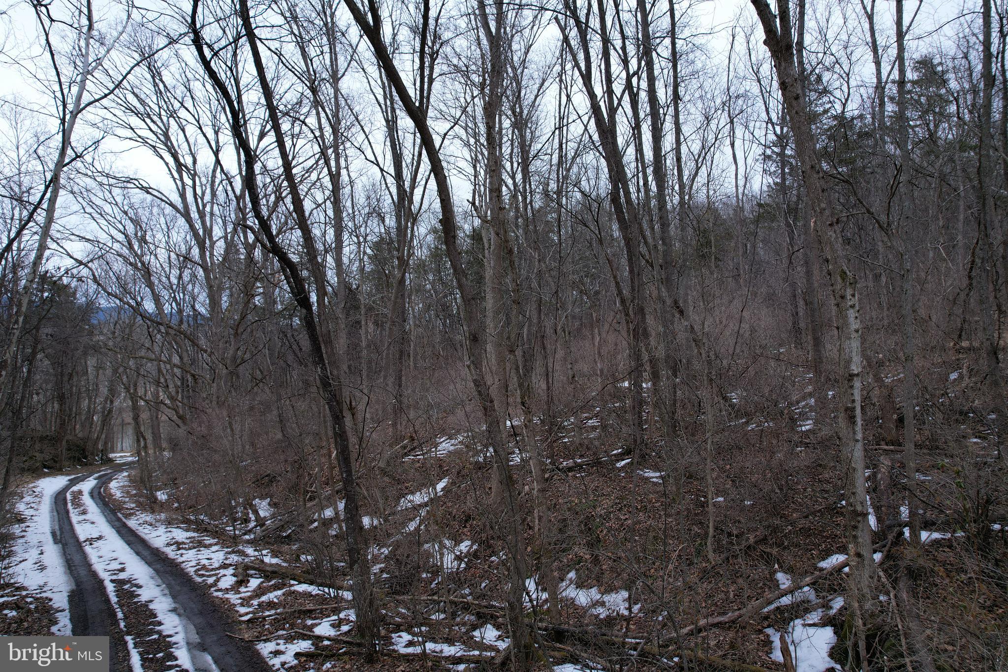 480 Beylors Ferry Road Rileyville, VA 22650 - Photo 14 of 21