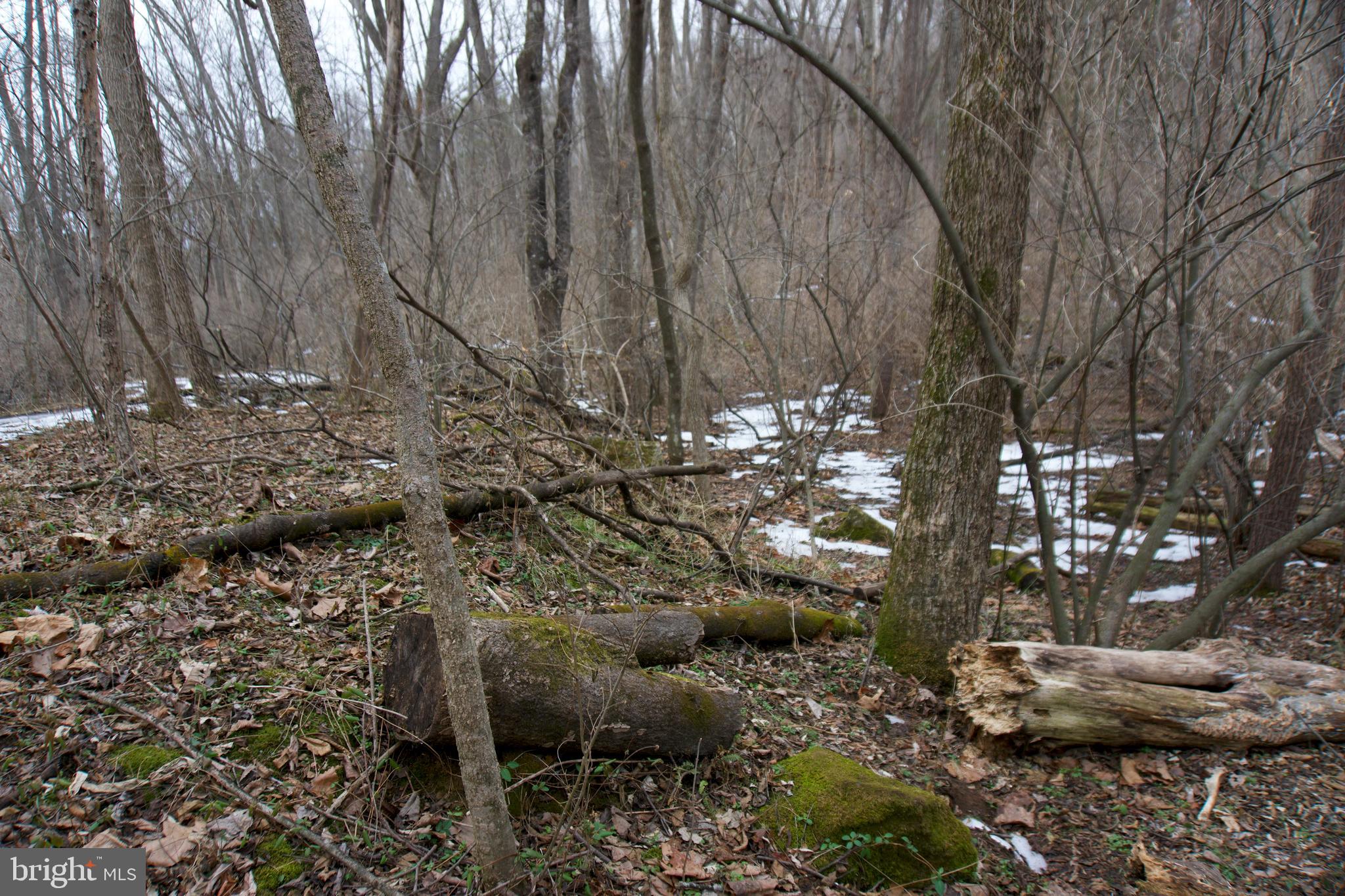 480 Beylors Ferry Road Rileyville, VA 22650 - Photo 15 of 21