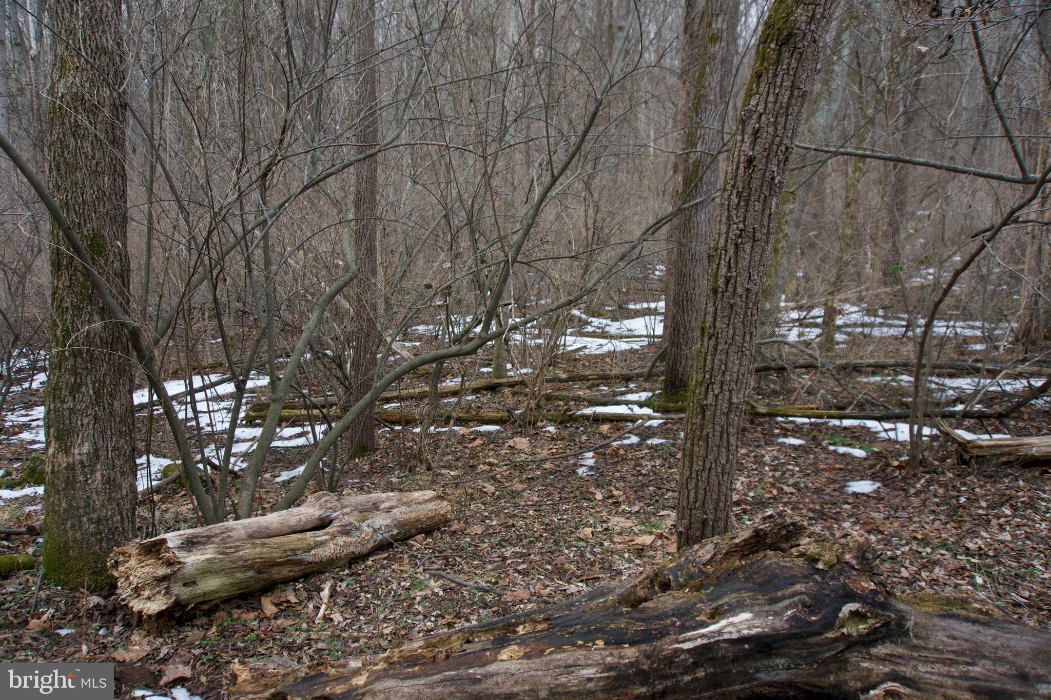 480 Beylors Ferry Road Rileyville, VA 22650 - Photo 16 of 21