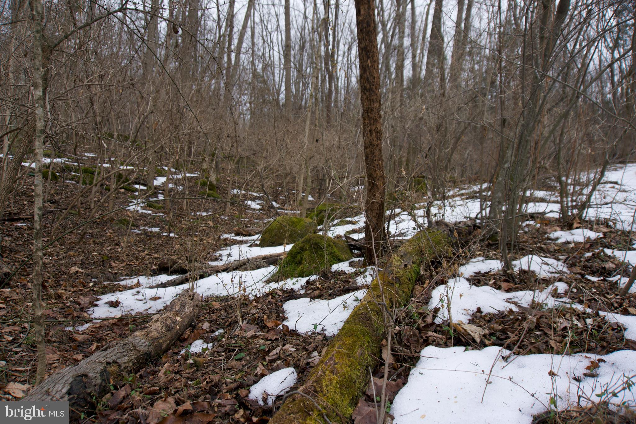 480 Beylors Ferry Road Rileyville, VA 22650 - Photo 17 of 21