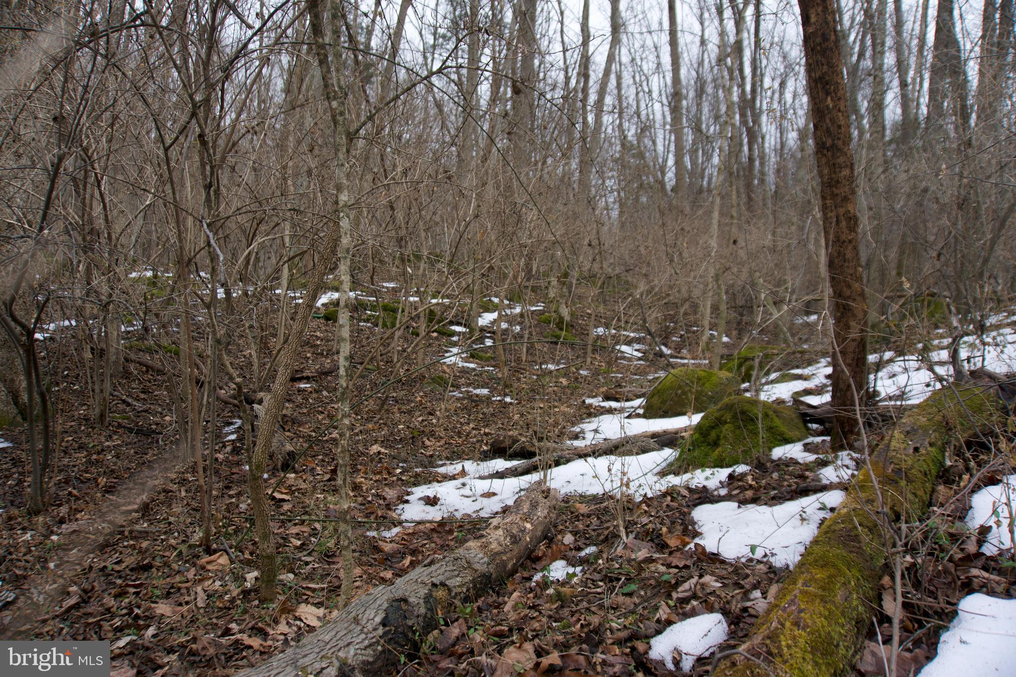 480 Beylors Ferry Road Rileyville, VA 22650 - Photo 18 of 21