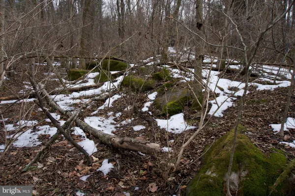 $100,000 | 480 Beylors Ferry Road, Rileyville, VA 22650