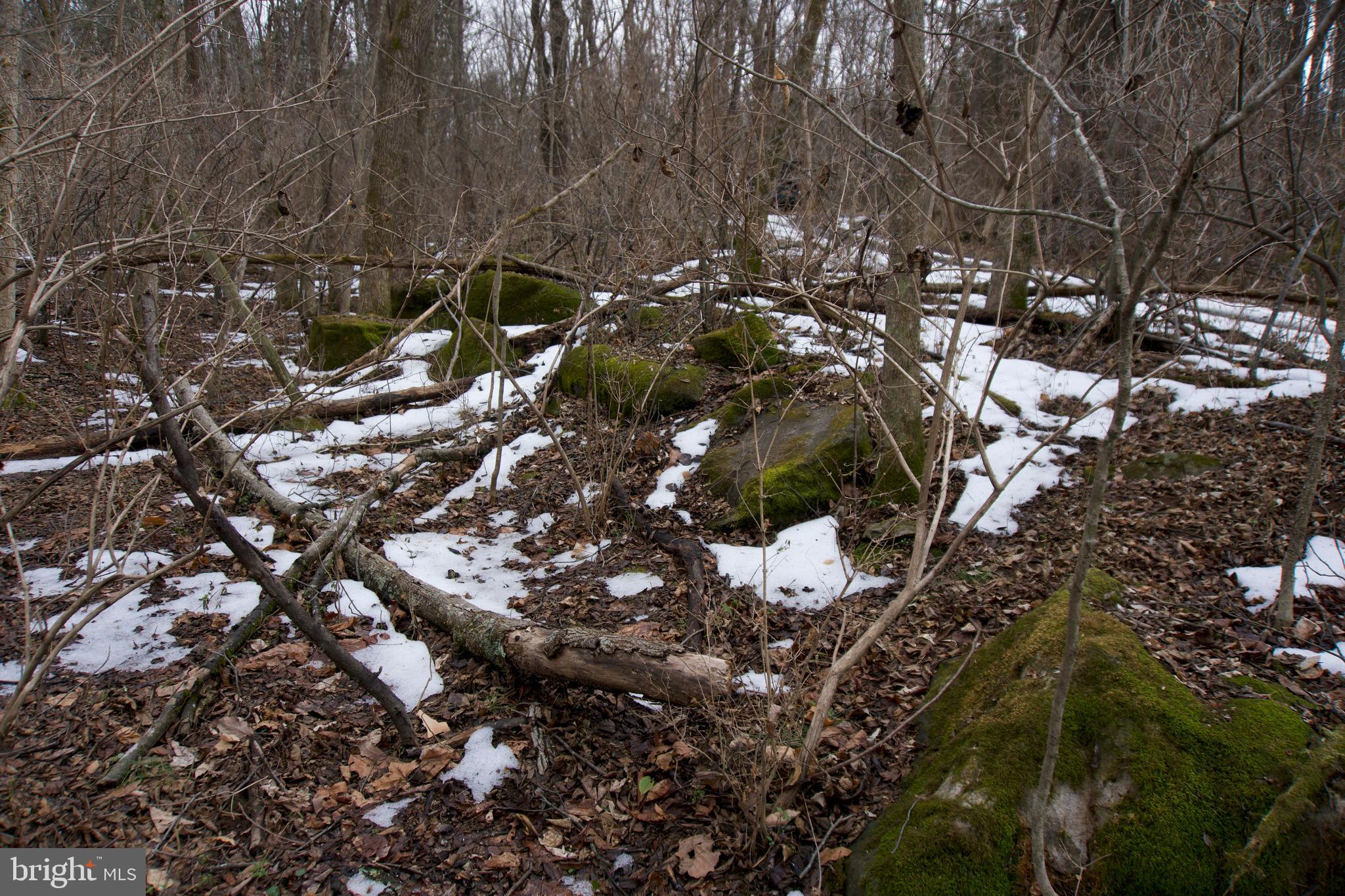 480 Beylors Ferry Road Rileyville, VA 22650 - Photo 19 of 21