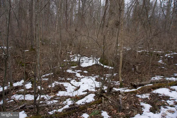 $100,000 | 480 Beylors Ferry Road, Rileyville, VA 22650