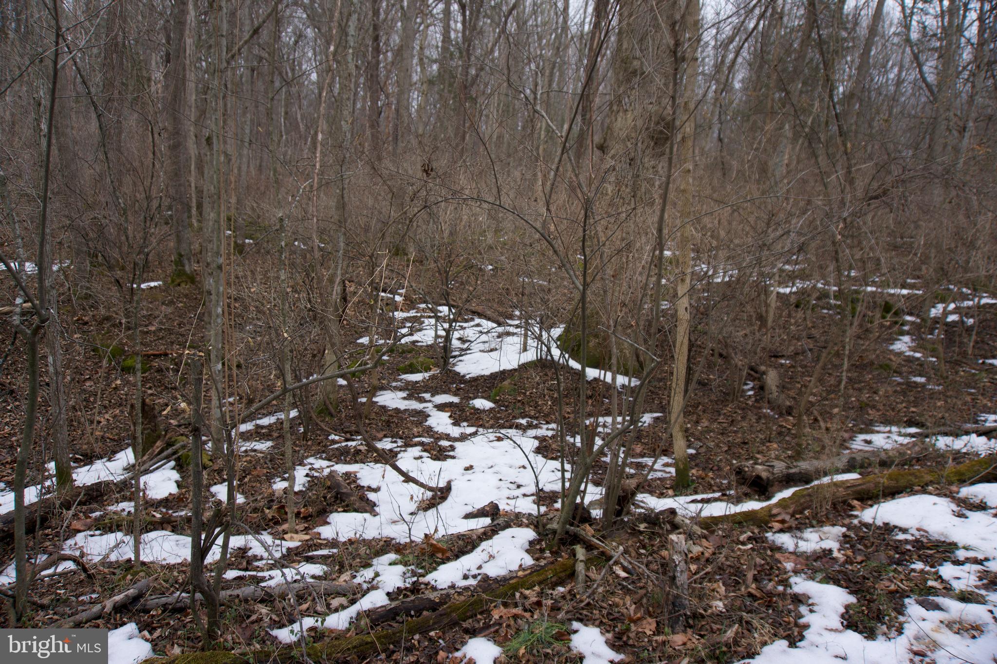 480 Beylors Ferry Road Rileyville, VA 22650 - Photo 20 of 21