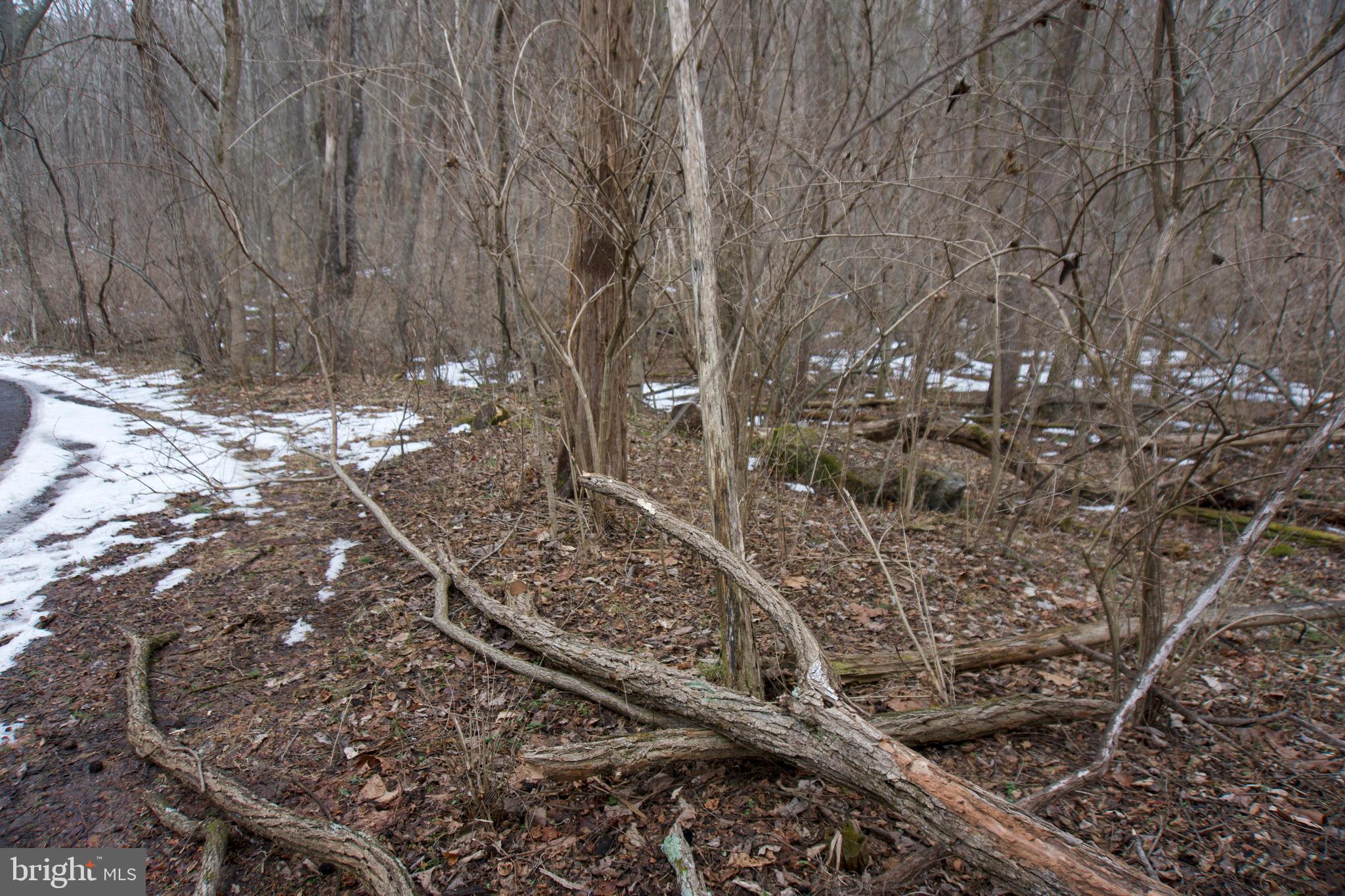 480 Beylors Ferry Road Rileyville, VA 22650 - Photo 21 of 21