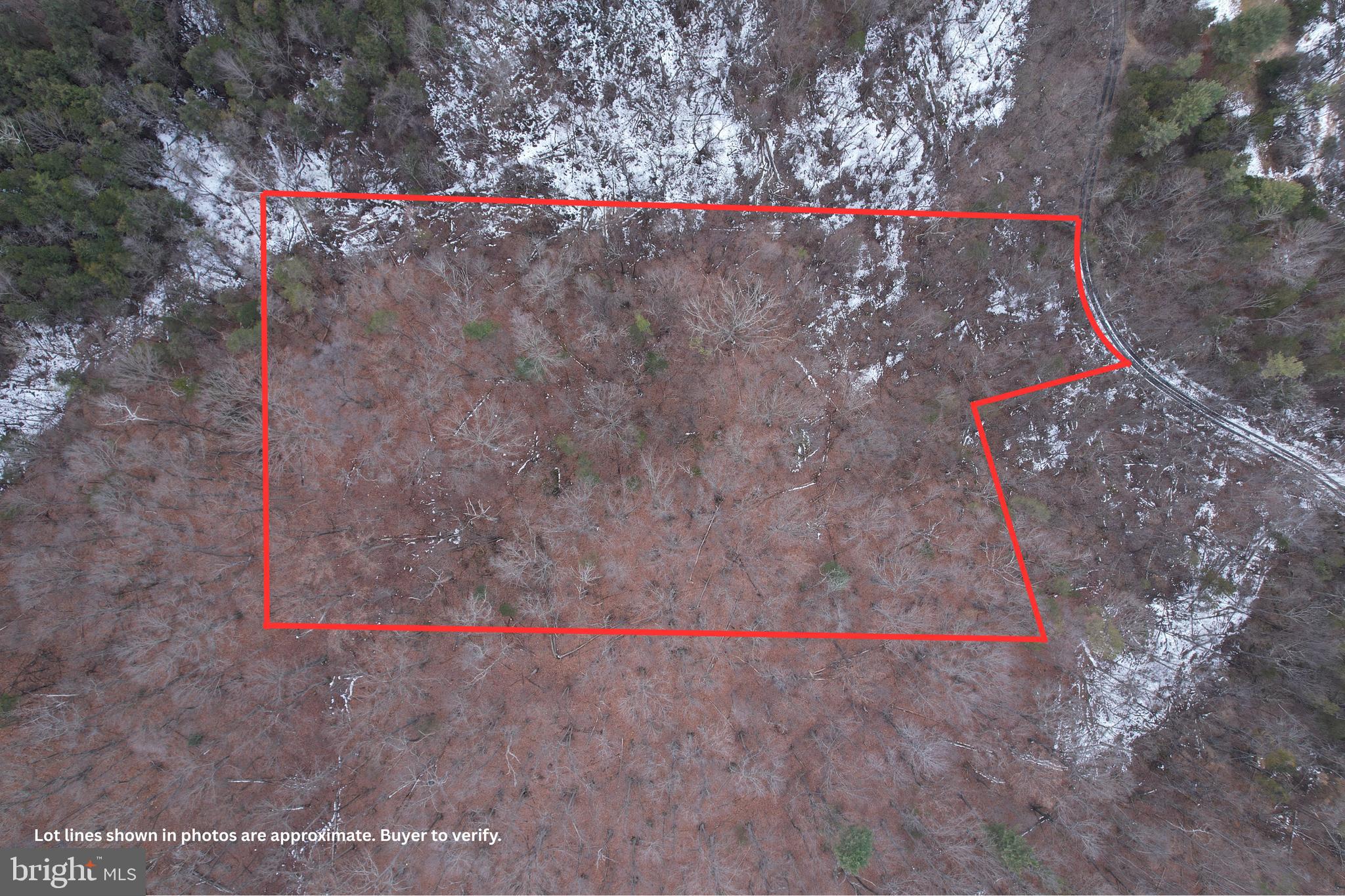 480 Beylors Ferry Road Rileyville, VA 22650 - Photo 4 of 21