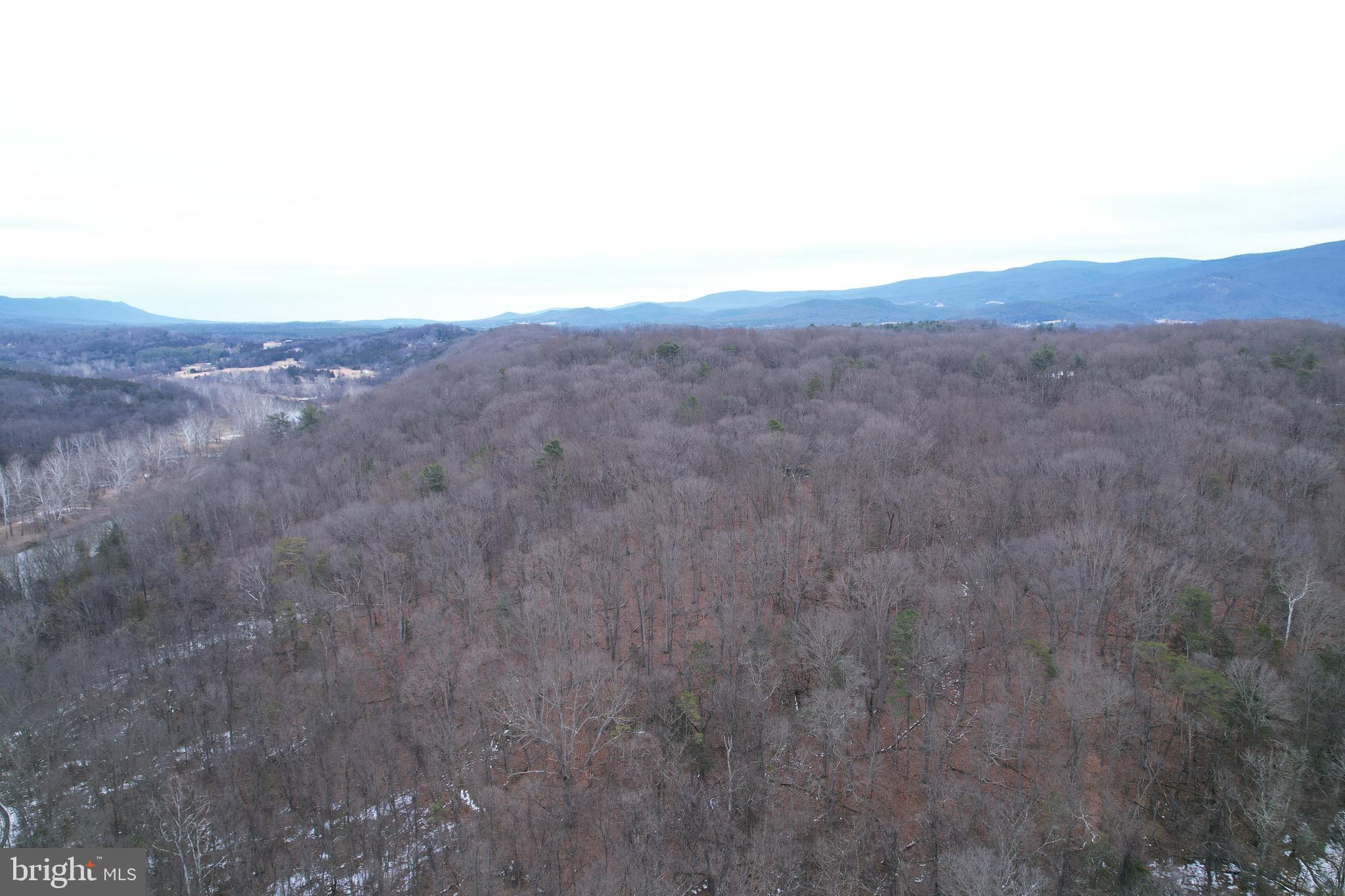 480 Beylors Ferry Road Rileyville, VA 22650 - Photo 6 of 21