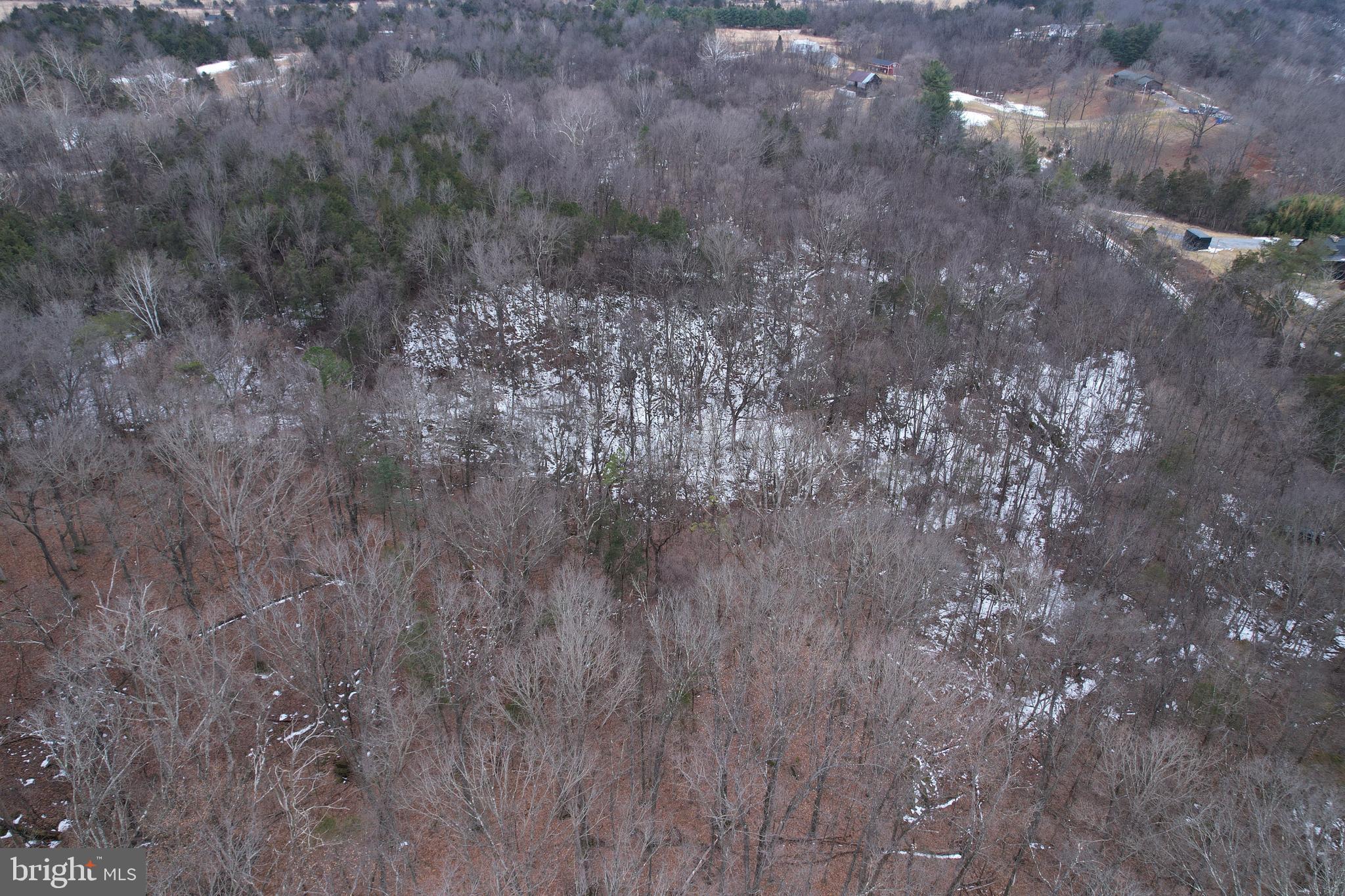 480 Beylors Ferry Road Rileyville, VA 22650 - Photo 7 of 21